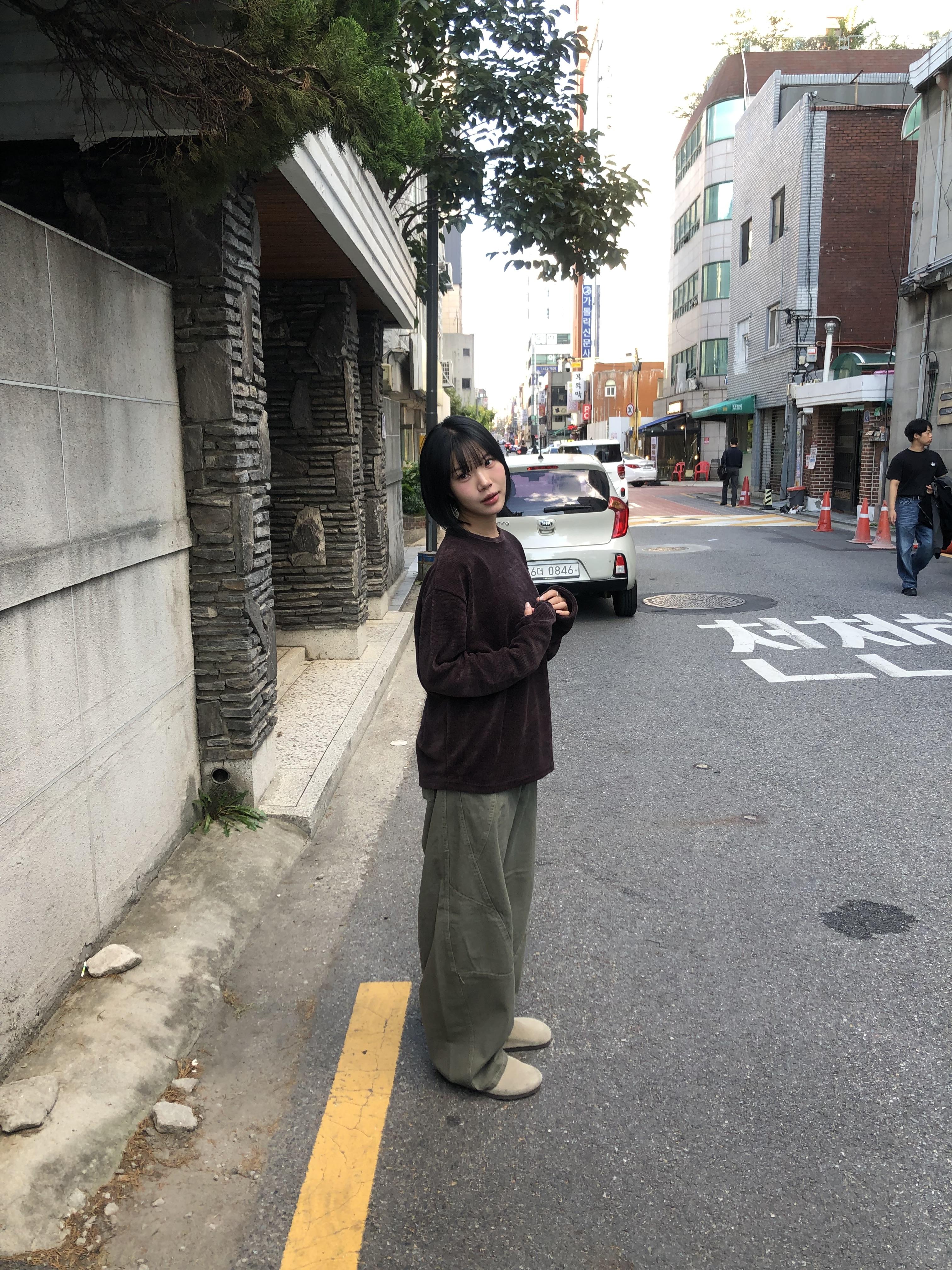 彎刀縫線 俐落版型 鬆緊帶 寬版 長褲 - 4C18