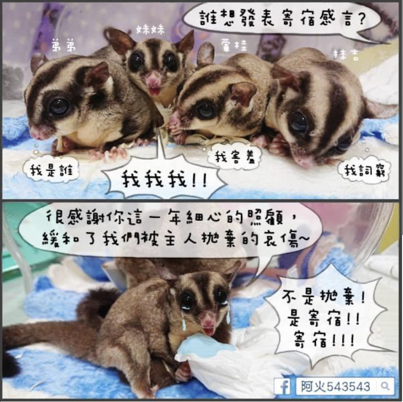 1f213091-d04e-434f-a253-c7c72773aca9.png
