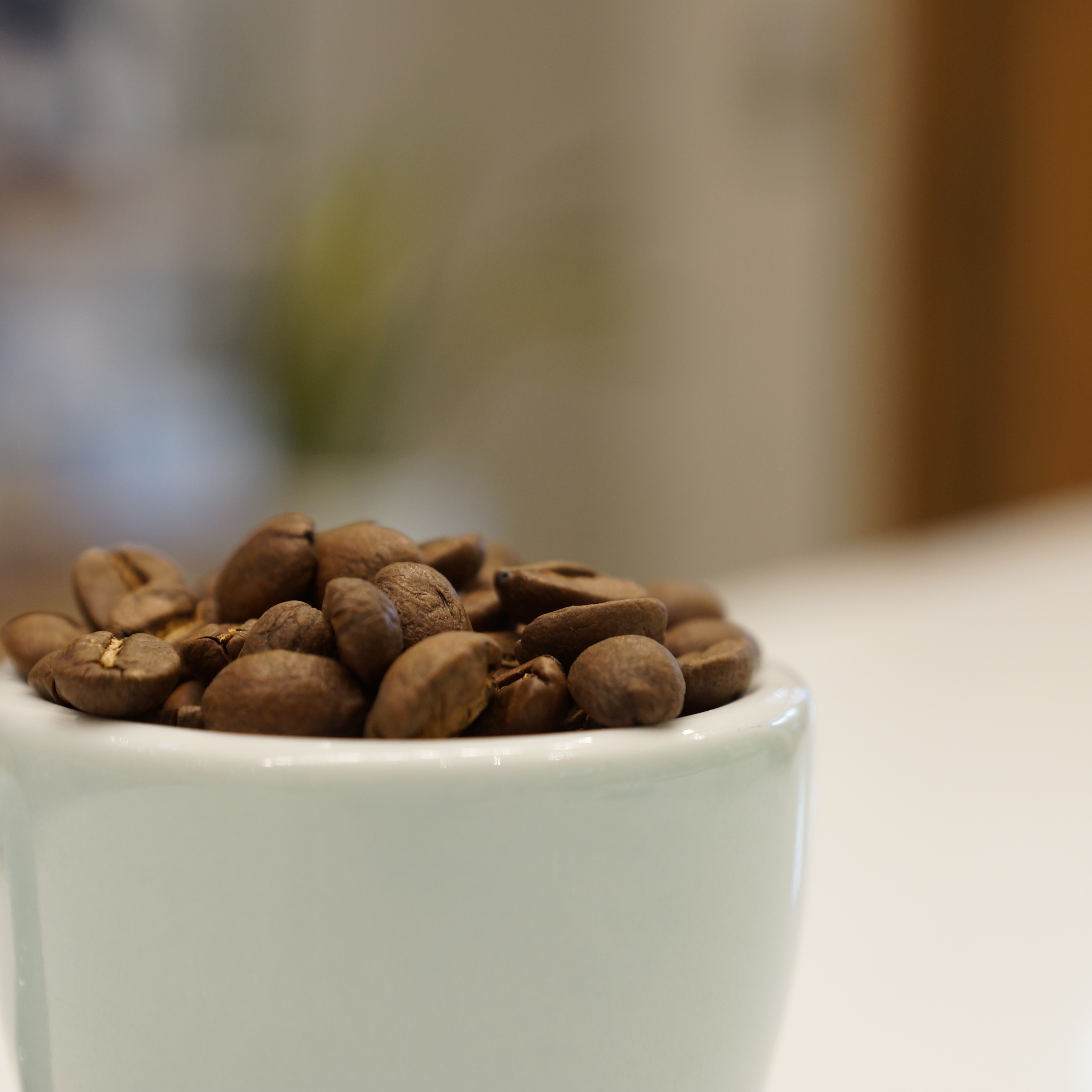 哥倫比亞 拉德亞莊園 粉紅波旁 水洗