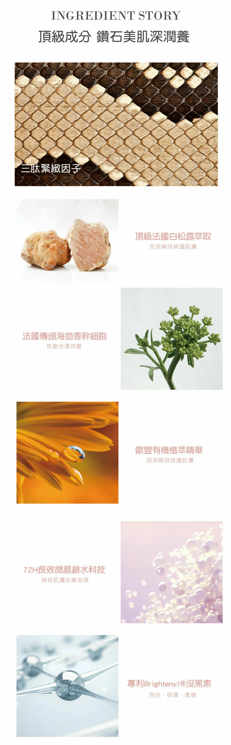 IMG_4755.webp