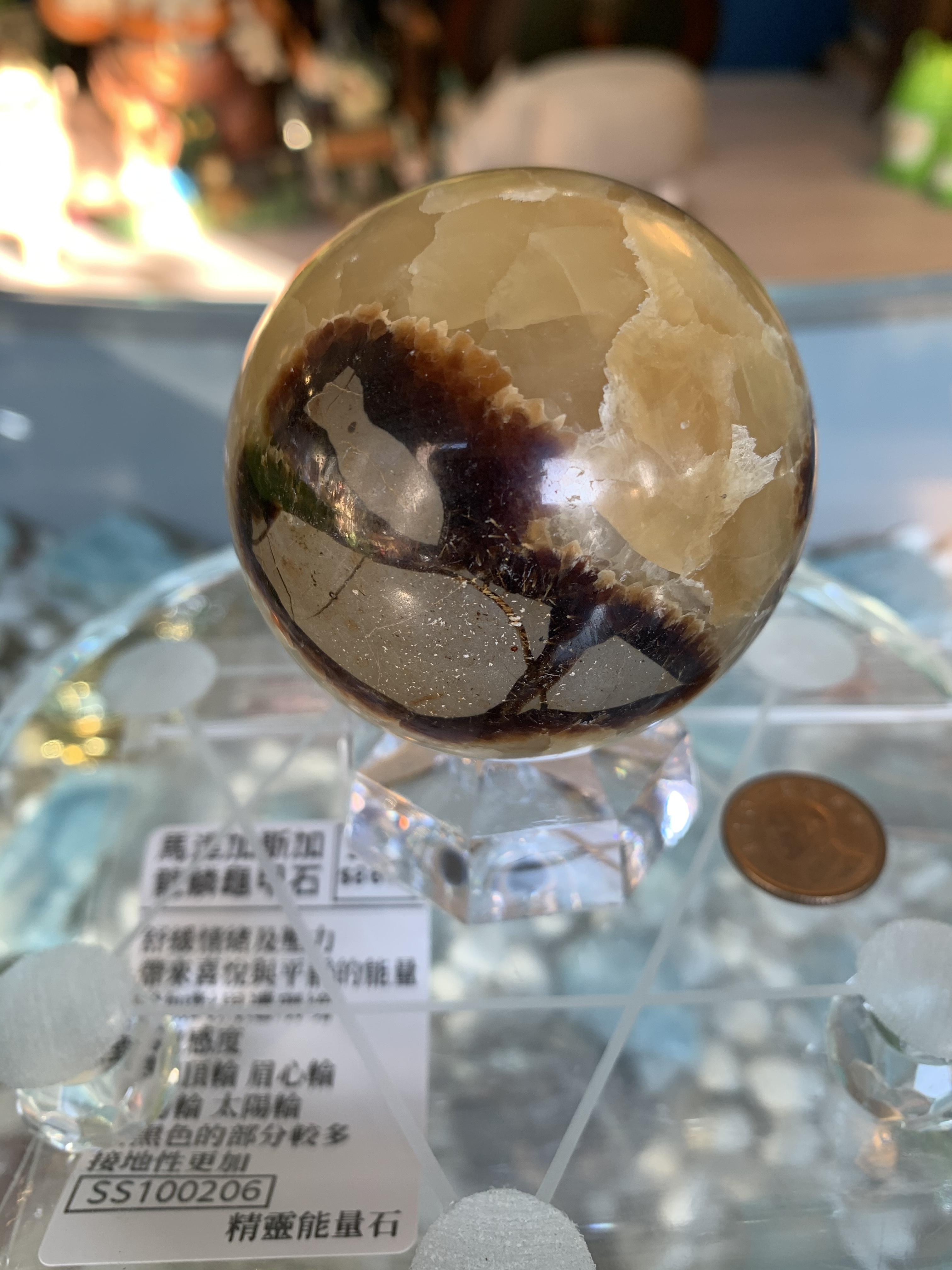 馬達加斯加 龍鱗龜甲石