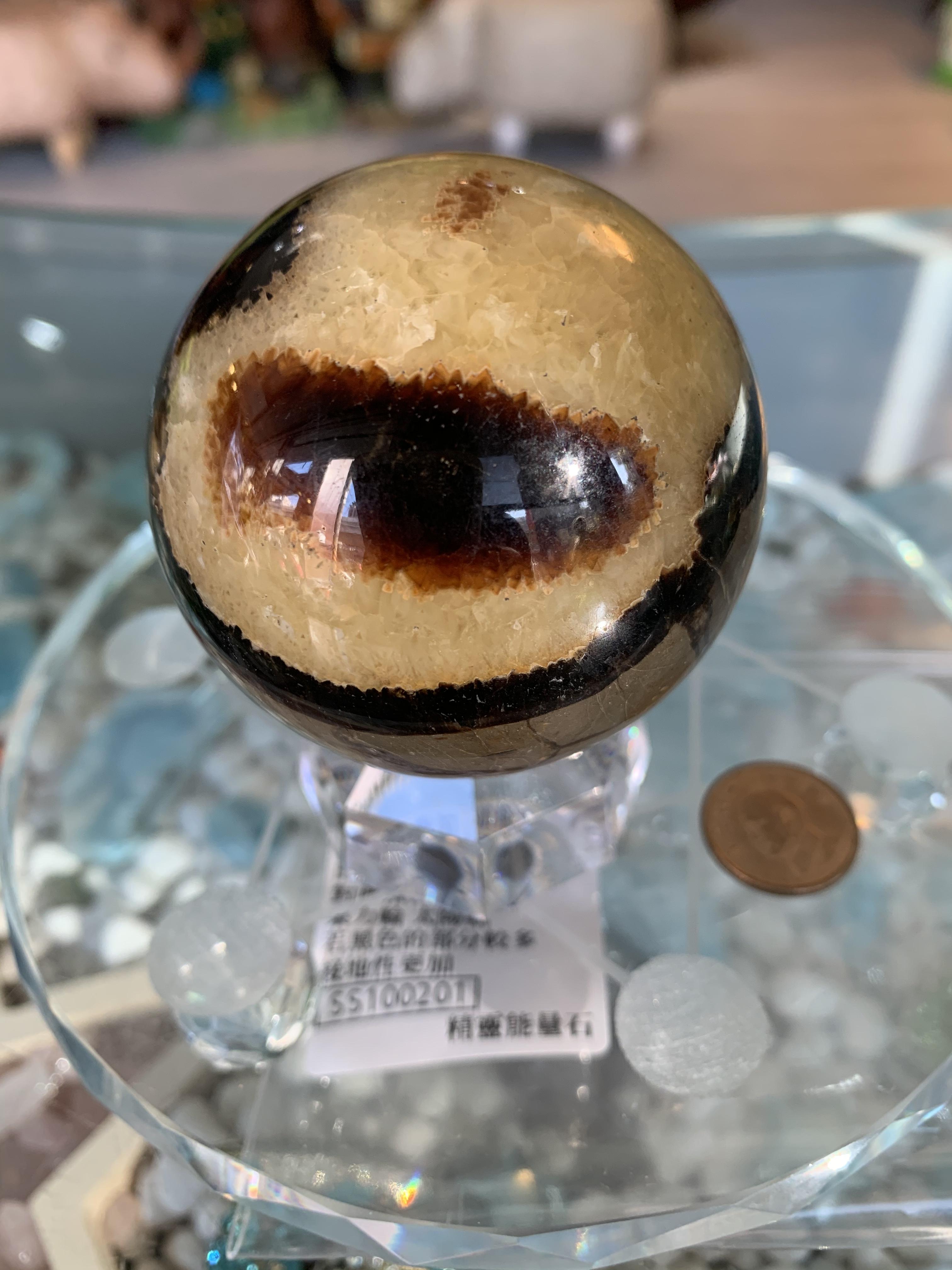 馬達加斯加 龍鱗龜甲石