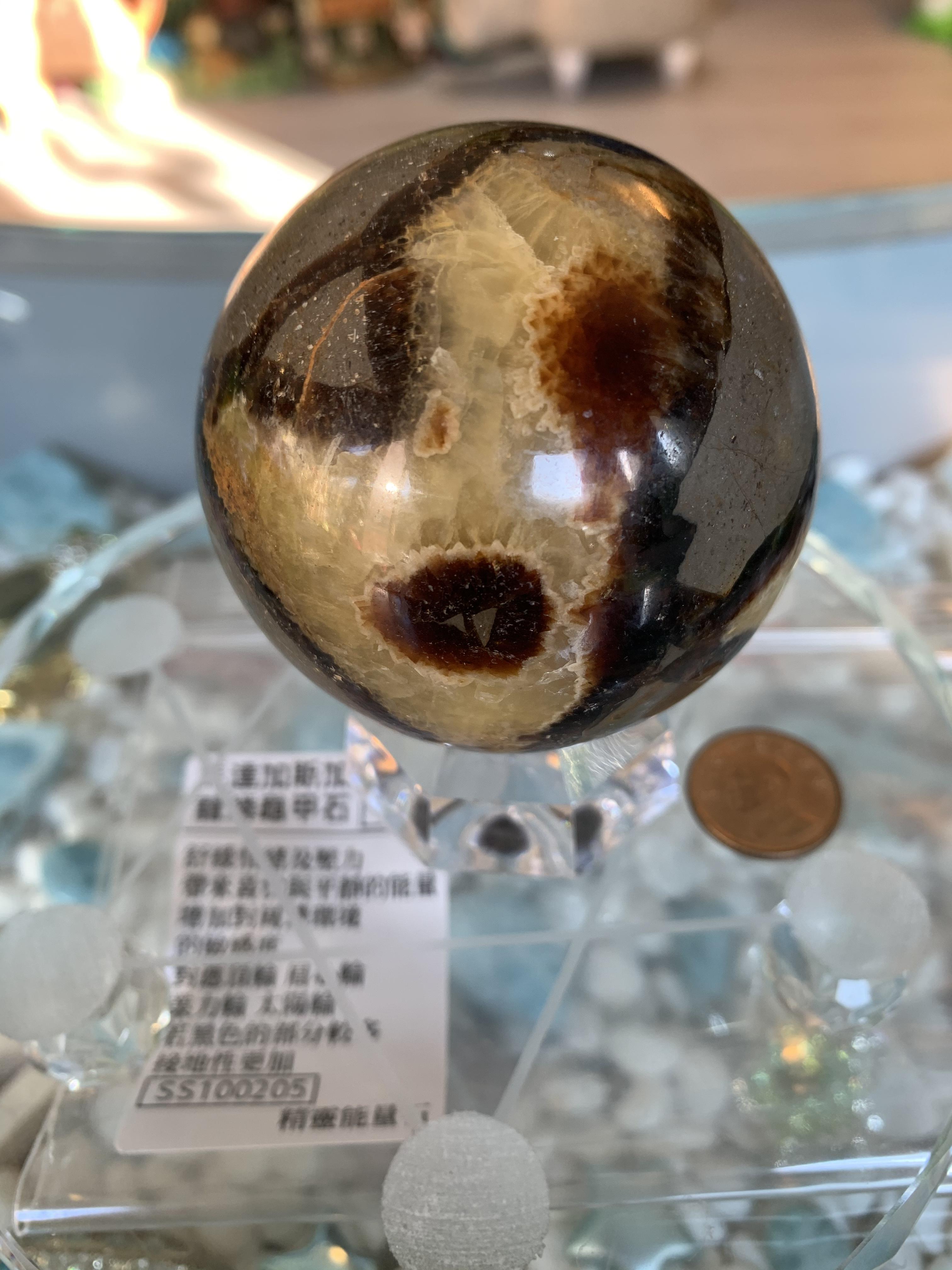 馬達加斯加 龍鱗龜甲石