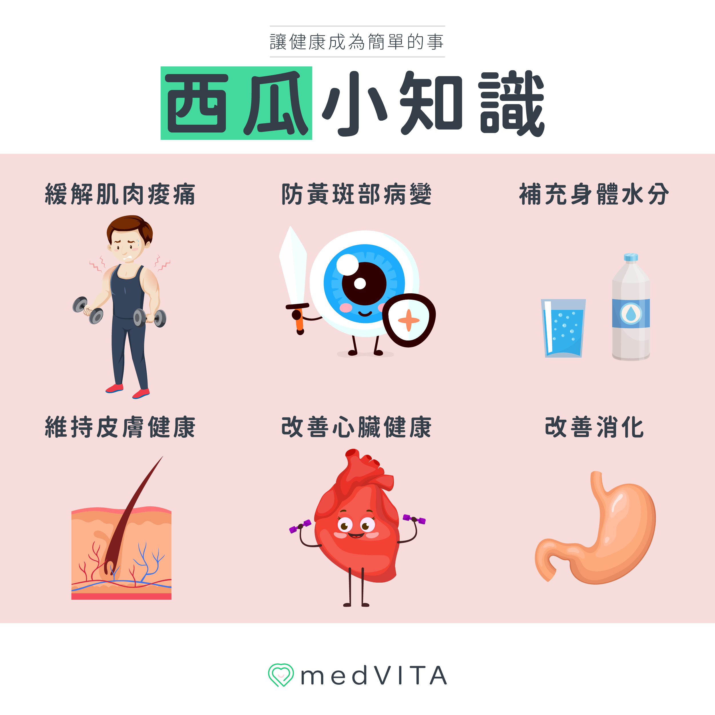 覺㦡medVITA | 西瓜小知識