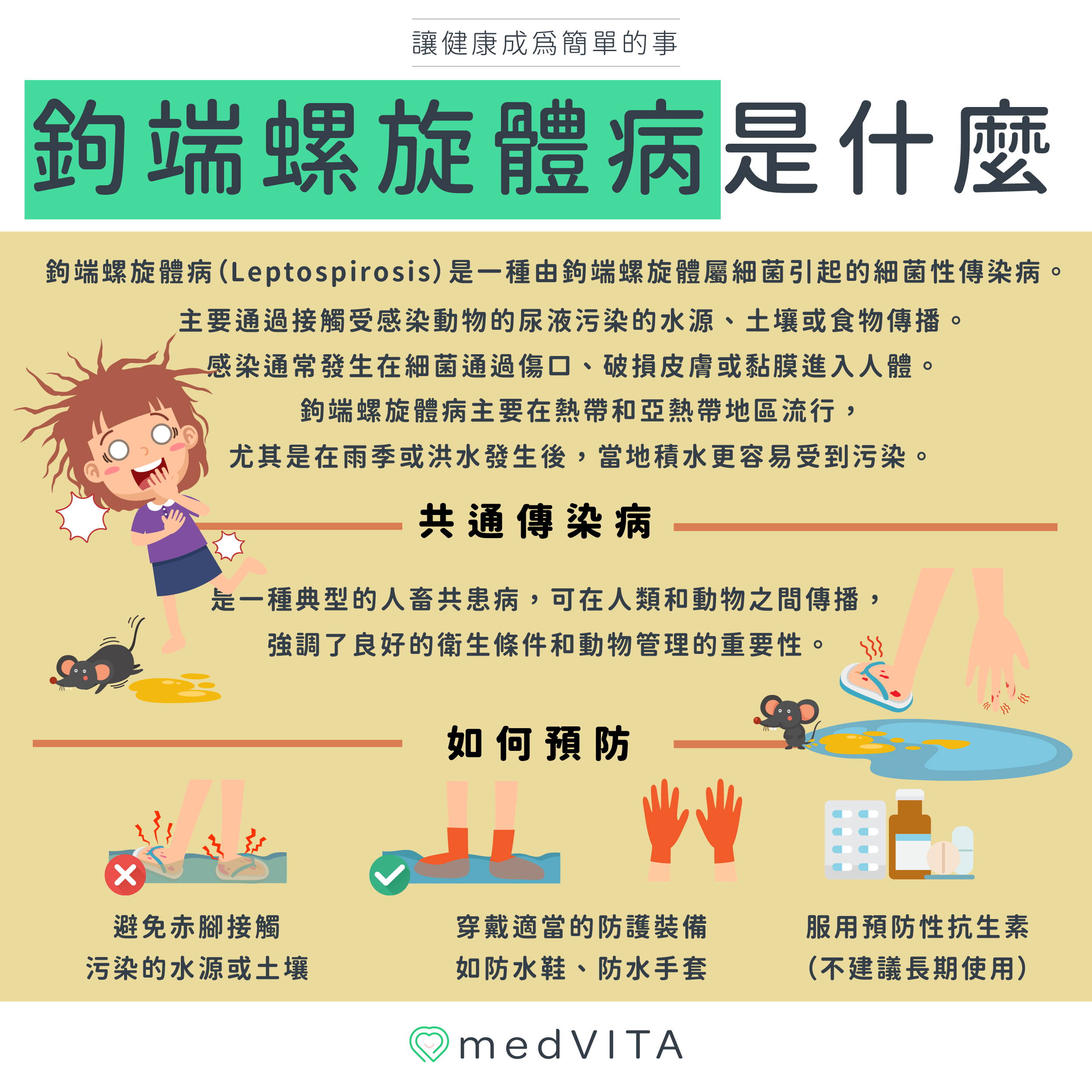 覺㦡medVITA | 鉤端螺旋體病是什麼