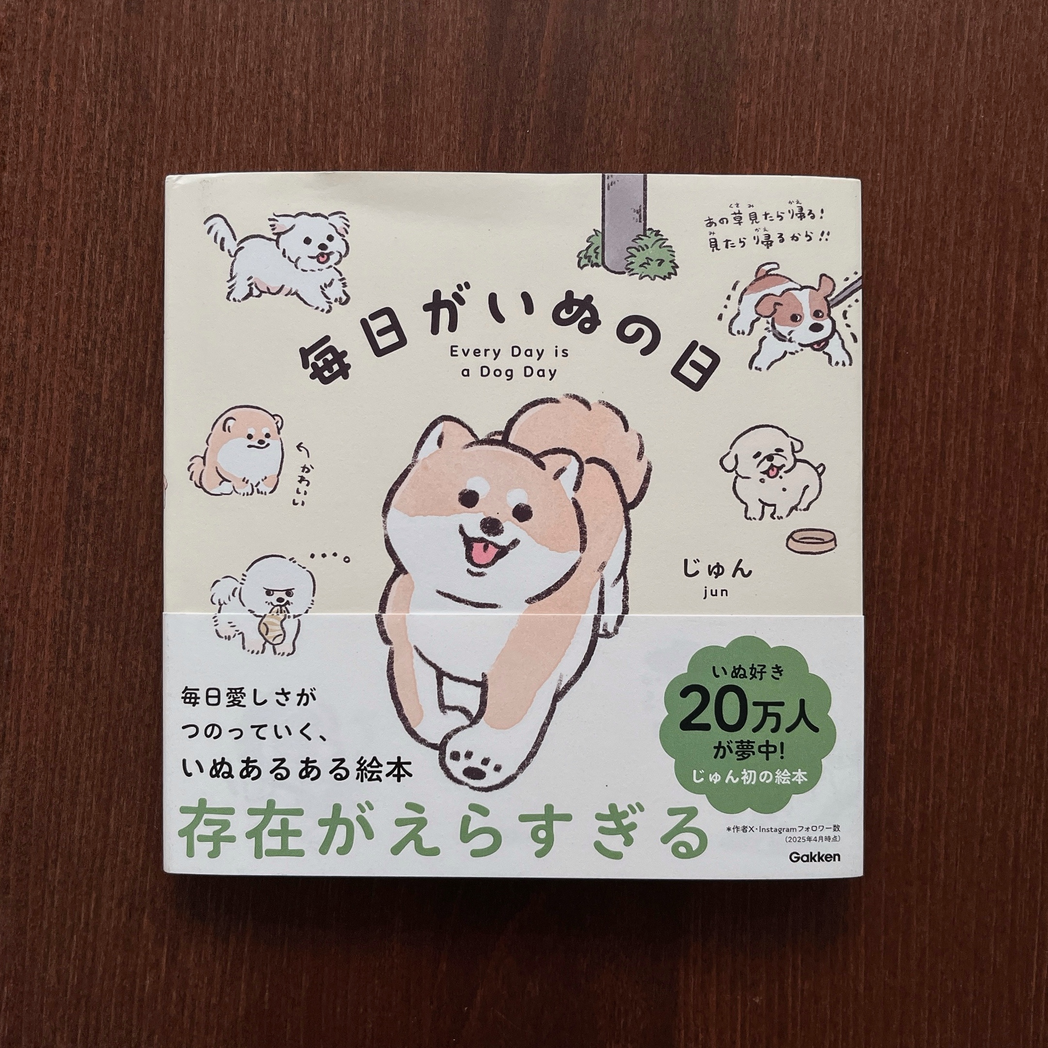 毎日がいぬの日｜じゅん