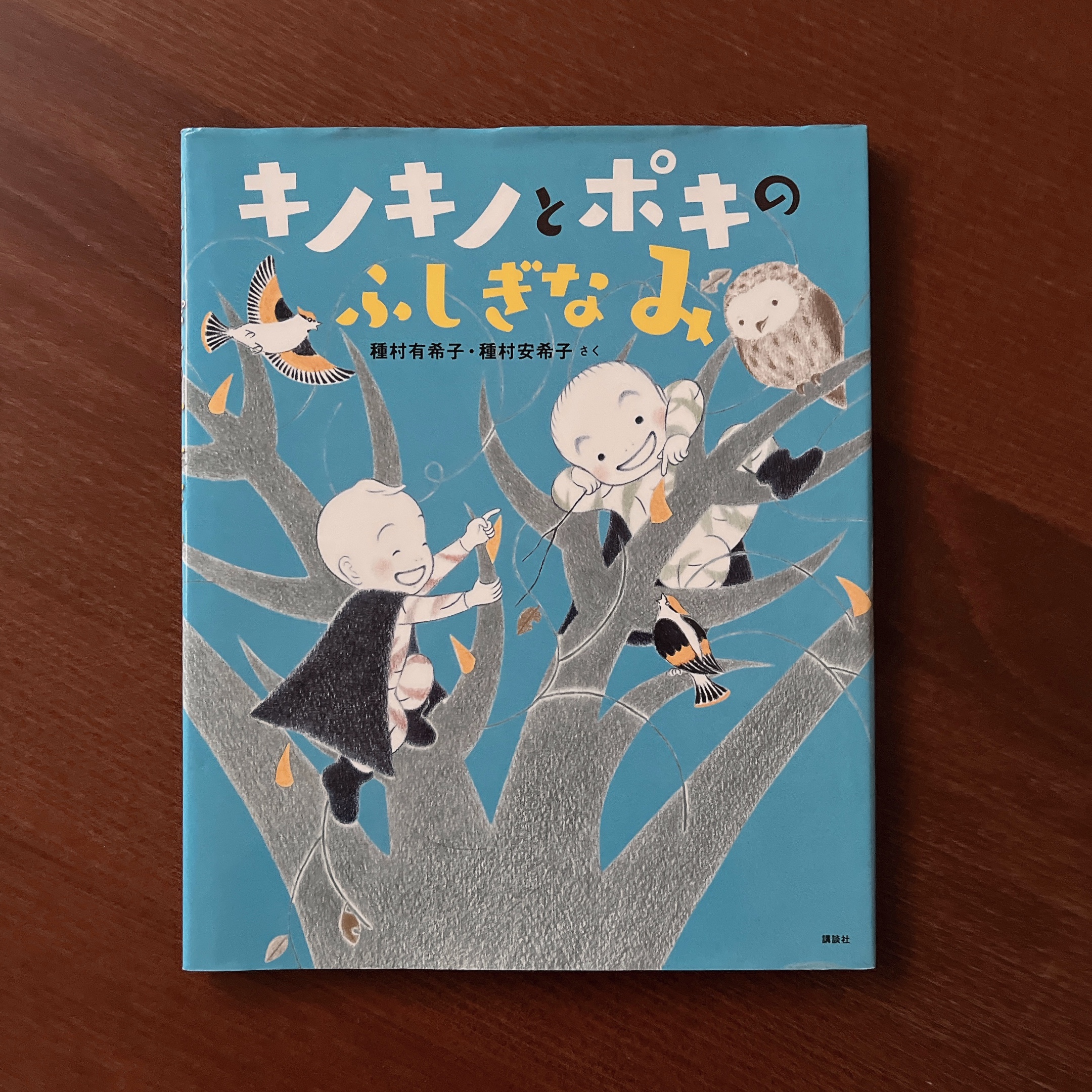 キノキノとポキの ふしぎなみ|種村有希子 キノキノとポキの ふしぎなみ|種村有希子