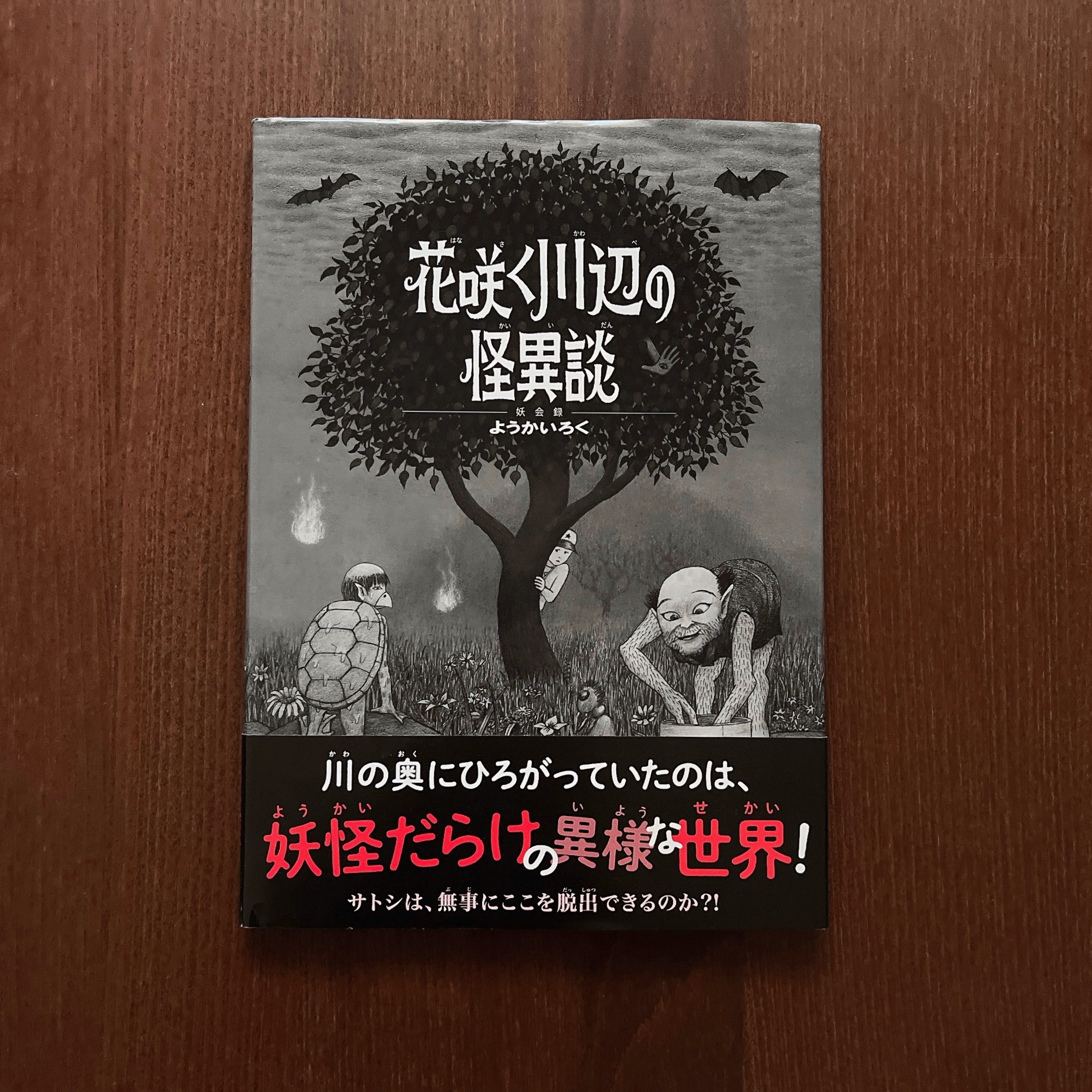 花咲く川辺の怪異譚 ようかいろく｜大野隆介