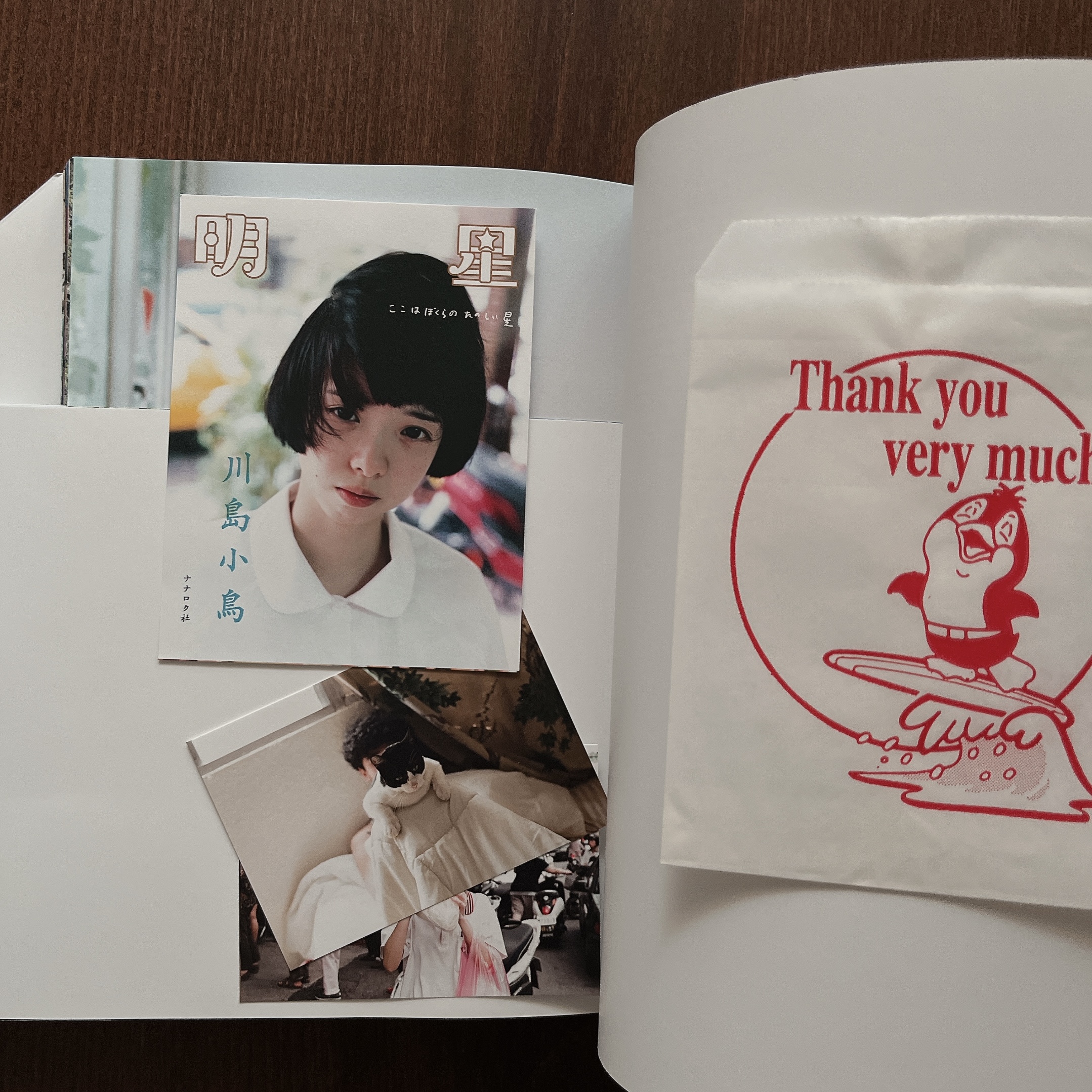 明星|川島小鳥10