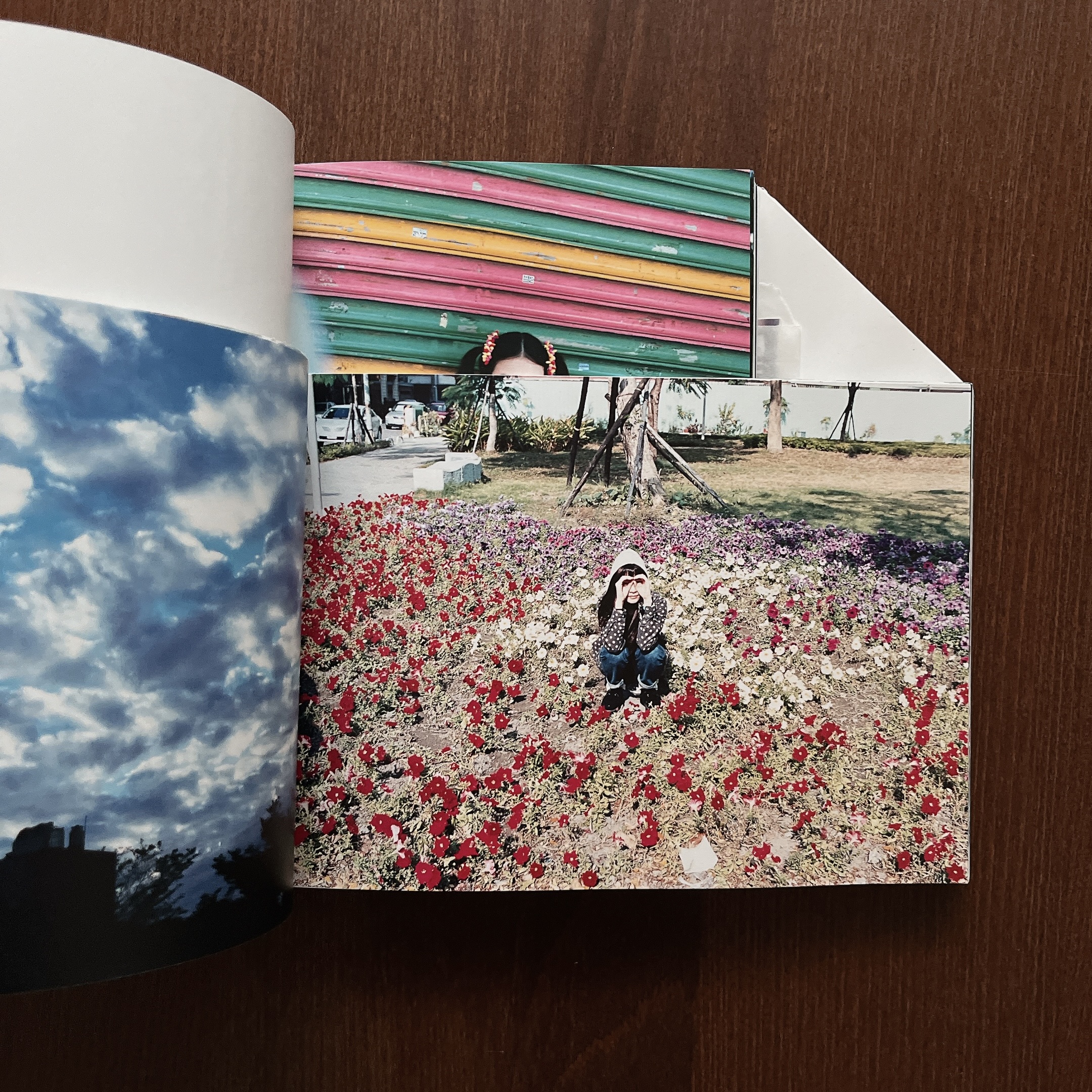 明星|川島小鳥5