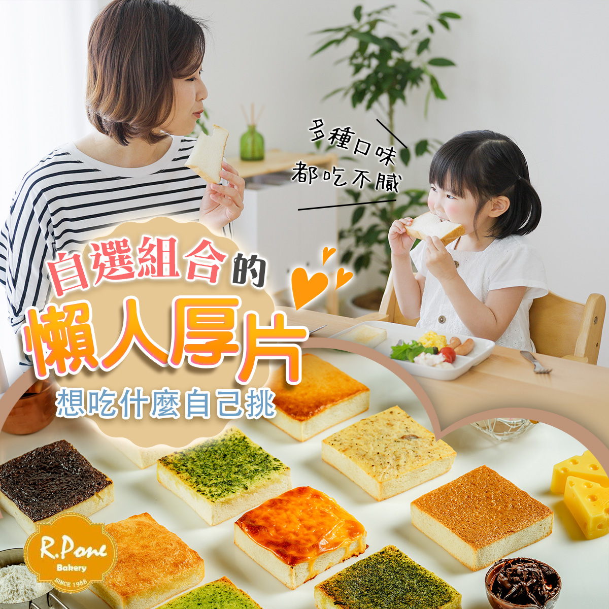 自選組合C 共12片，499免運