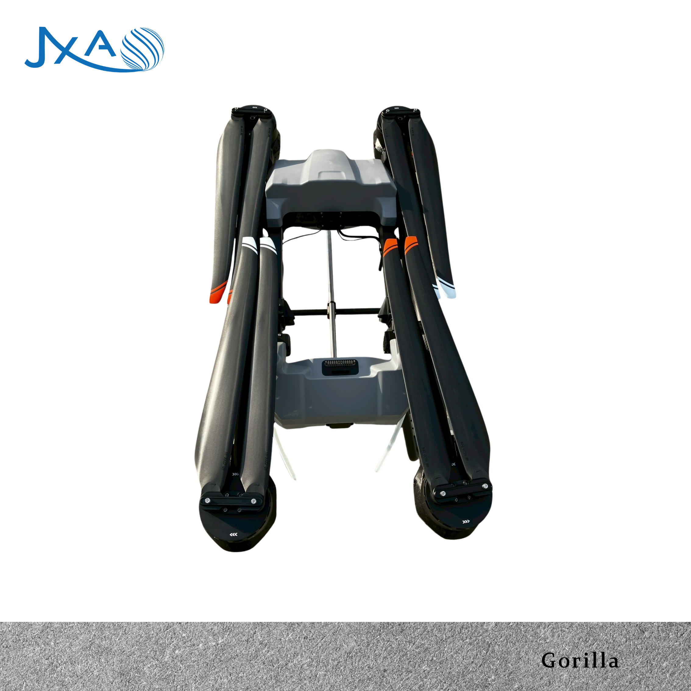 Gorilla2