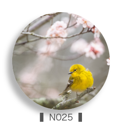 胖米公版-自然背景系列-N025