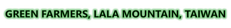 台灣拉拉山青青小農