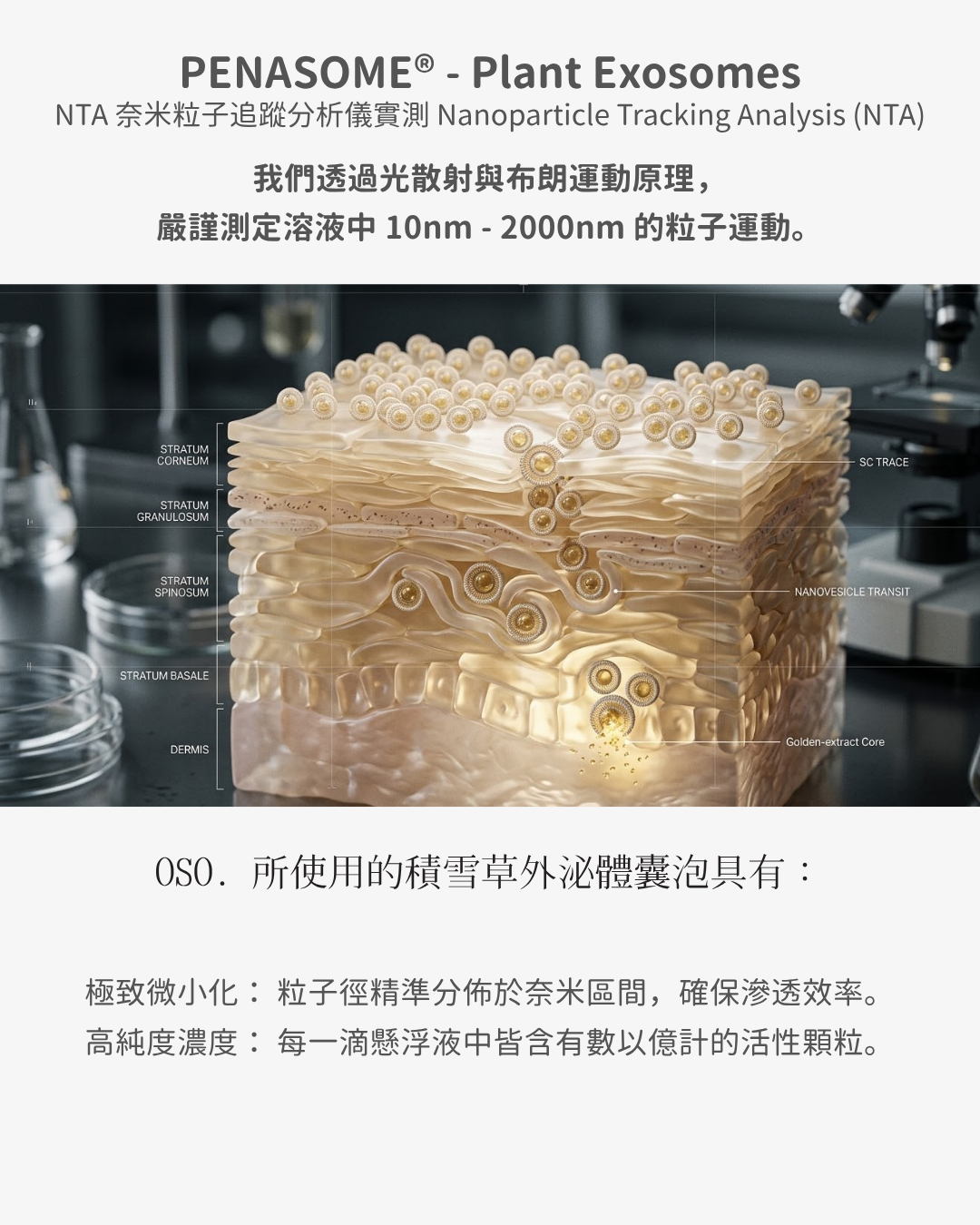 歐錦葵.png
