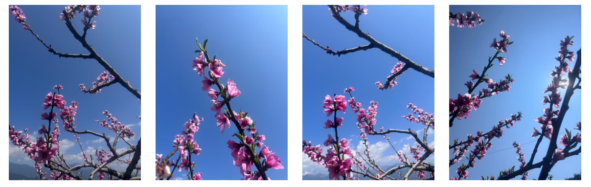 螢幕擷取畫面 2026-03-28 123624.png