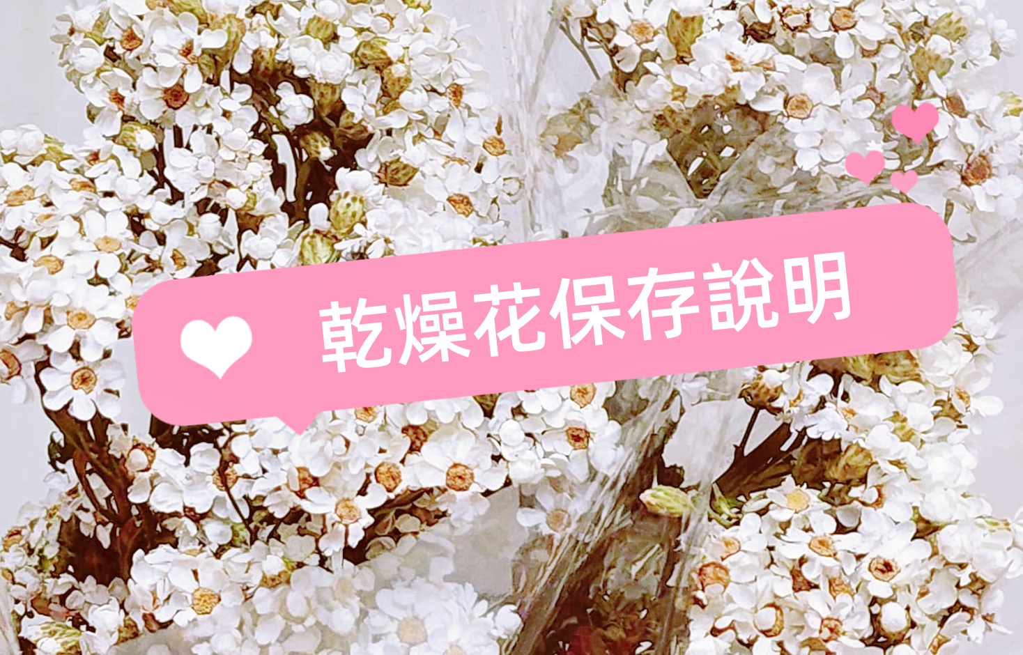 乾燥花保存說明