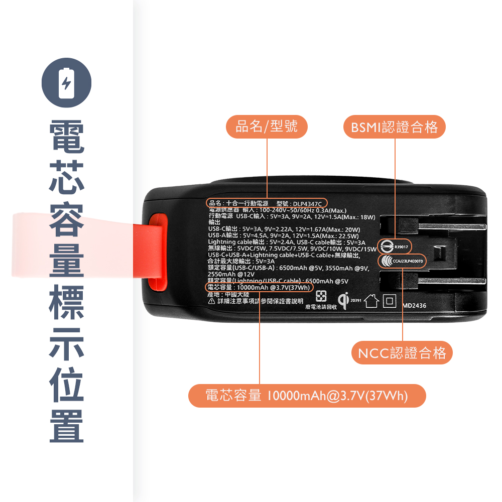 DL-02-13.jpg