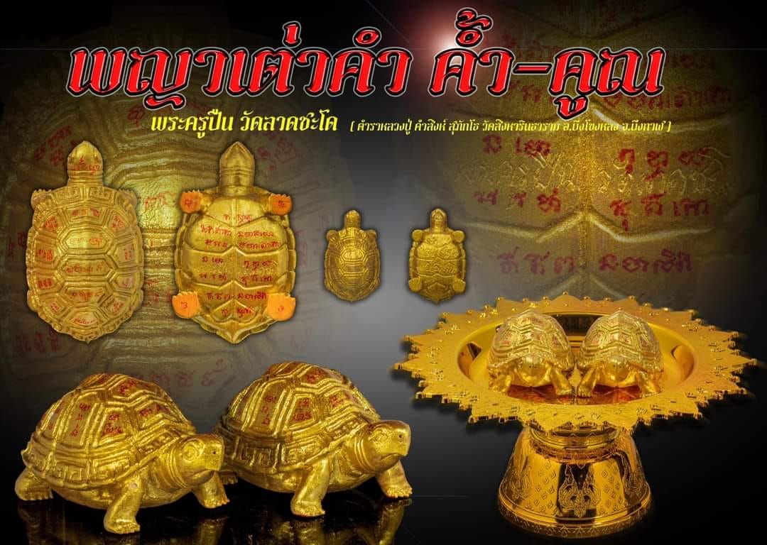 帕固伴－帕也逗襟　大財龜