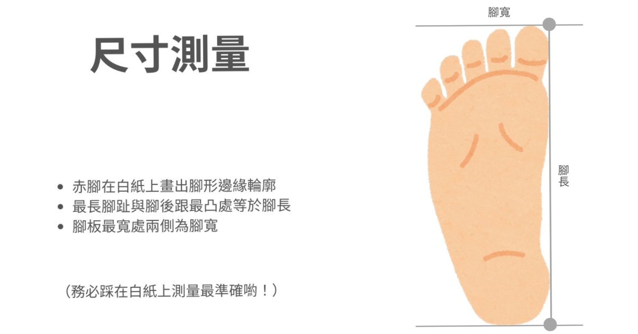 尺寸測量.png