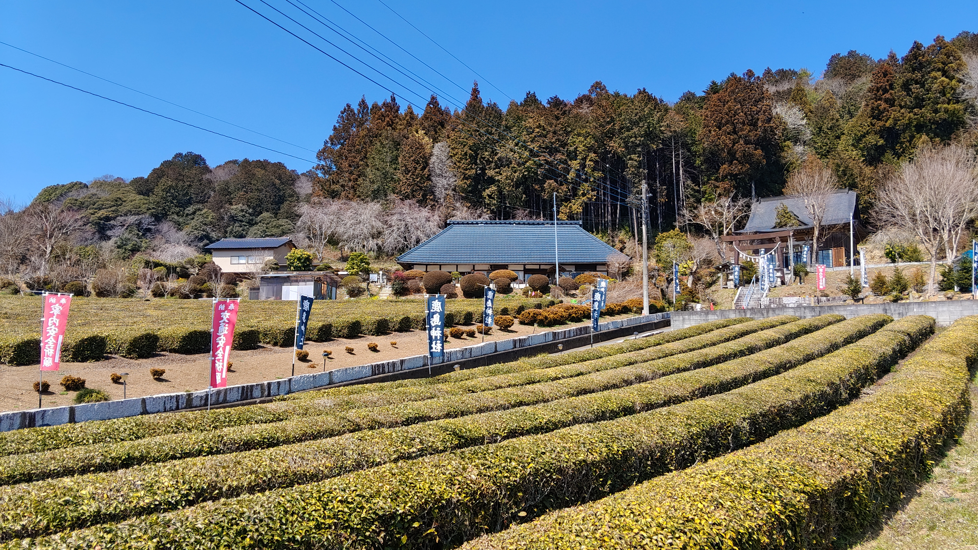 16鹿島神社 (1).jpg