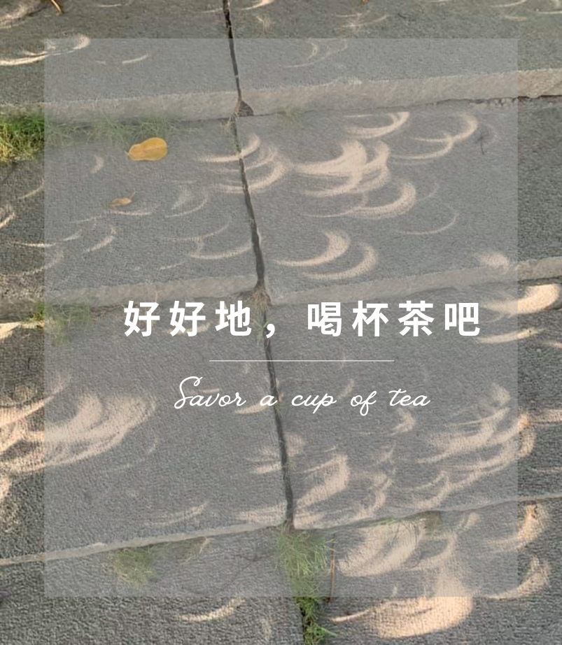 從一杯茶開始，學會好好地生活、好好地與世界相處。