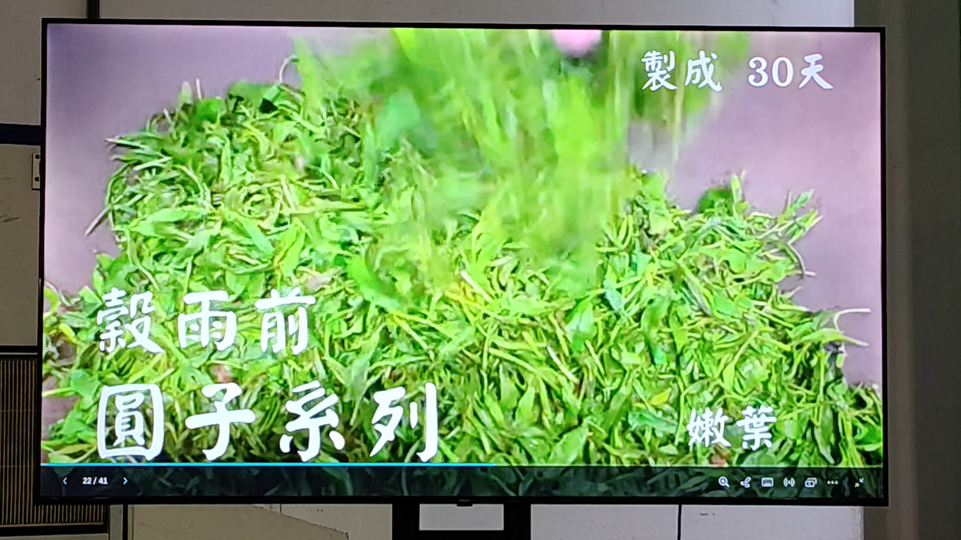 IMG20260822110034.jpg