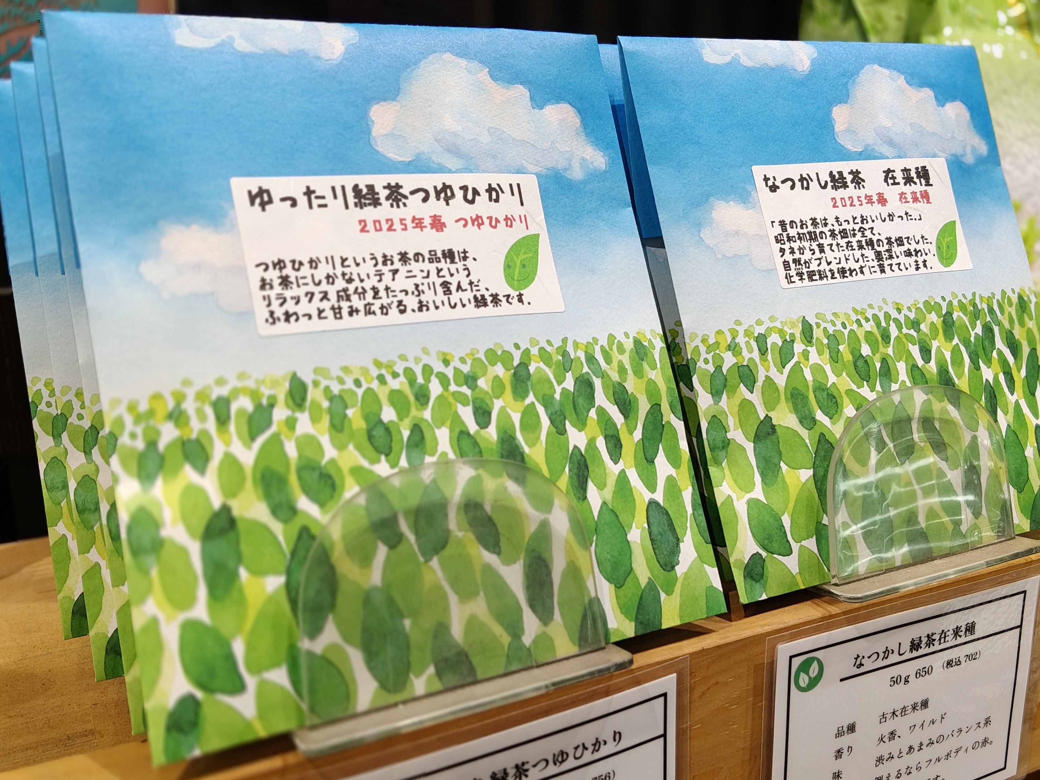 44つゆひかり和在来 (1)2.jpg