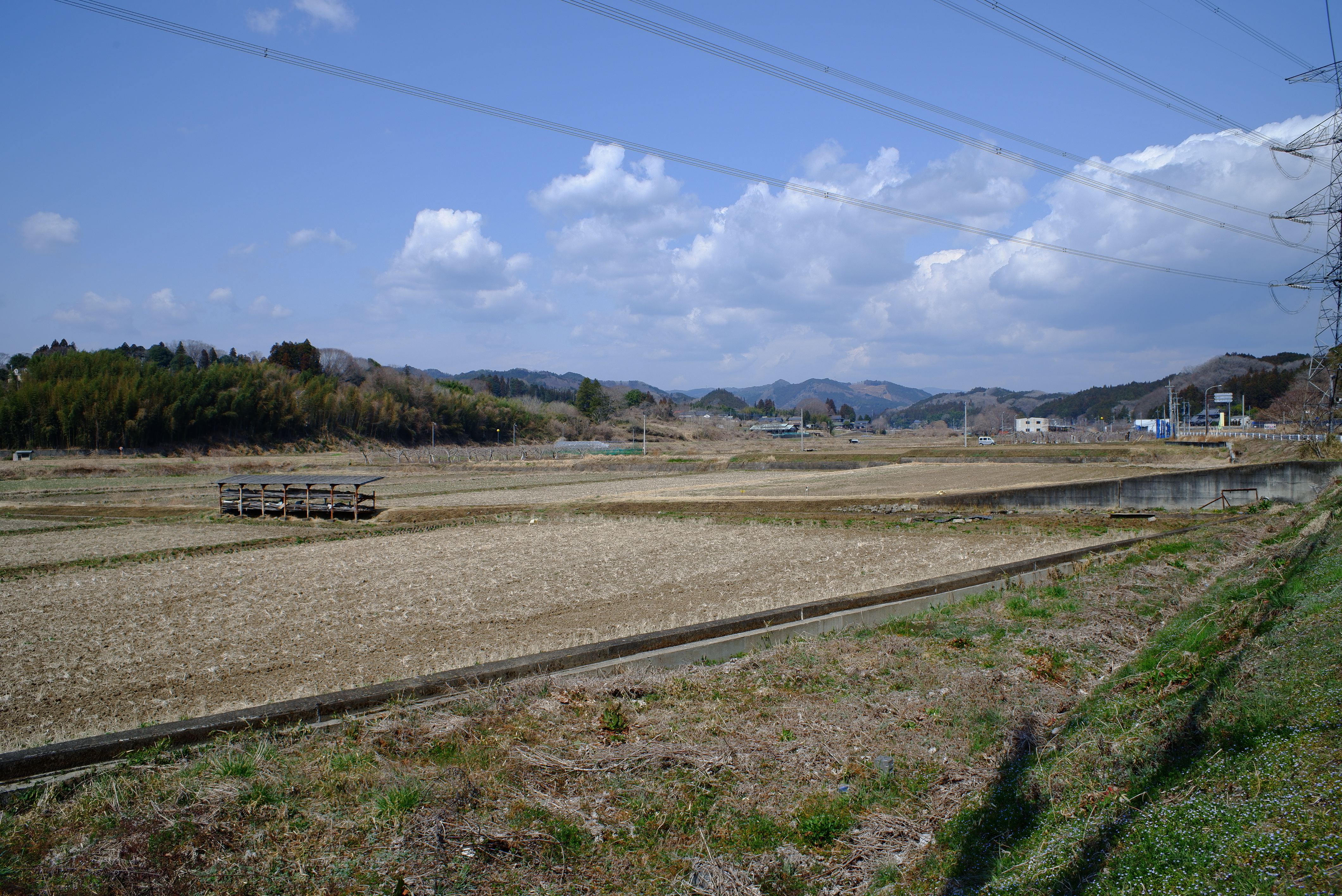 06沿路風景是大片大片的稻田配上遠方的高山 (1).JPG
