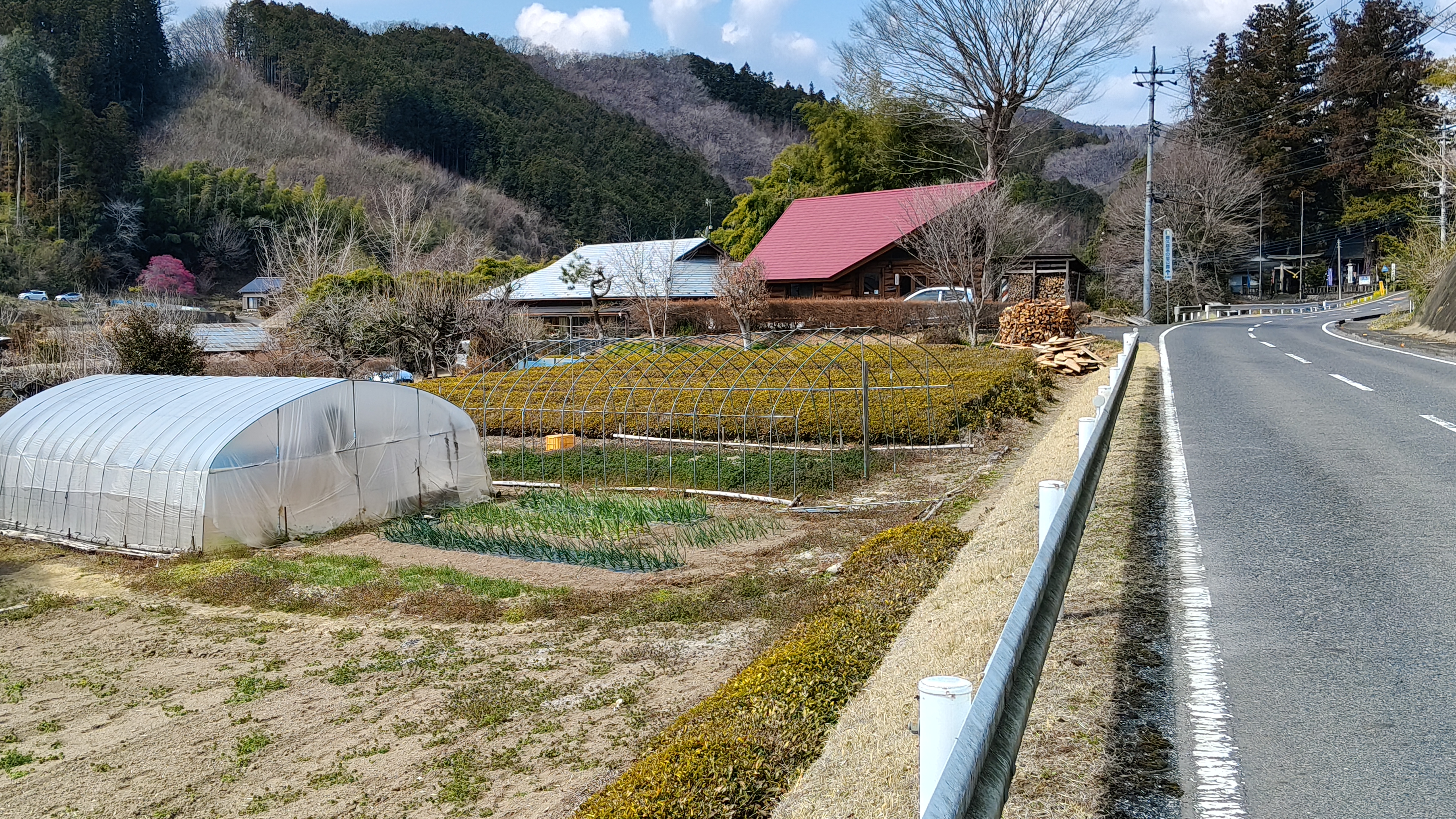 10 比狹山還黃 (1).jpg