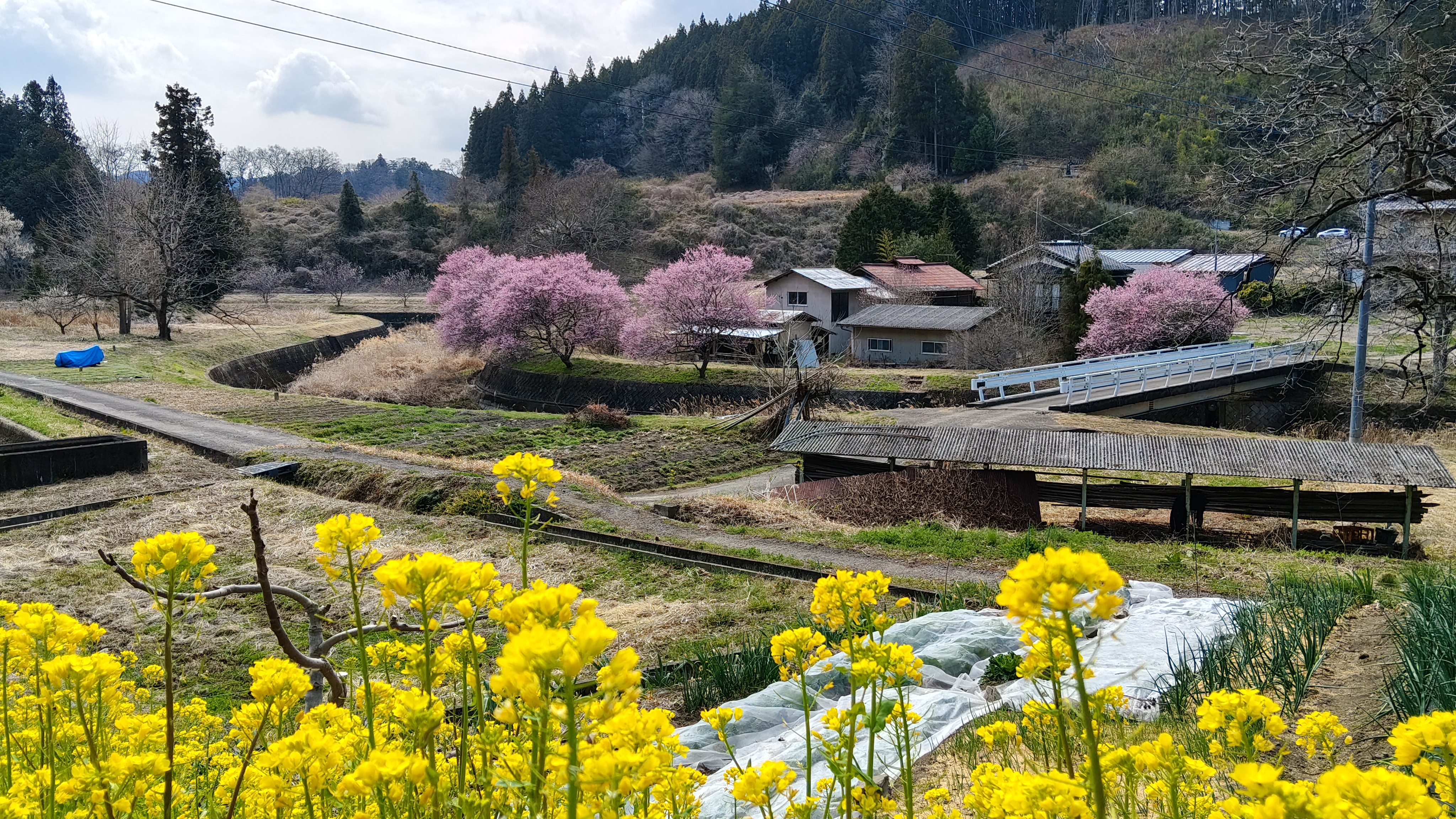 13路上風景 這哪條川查一下.jpg