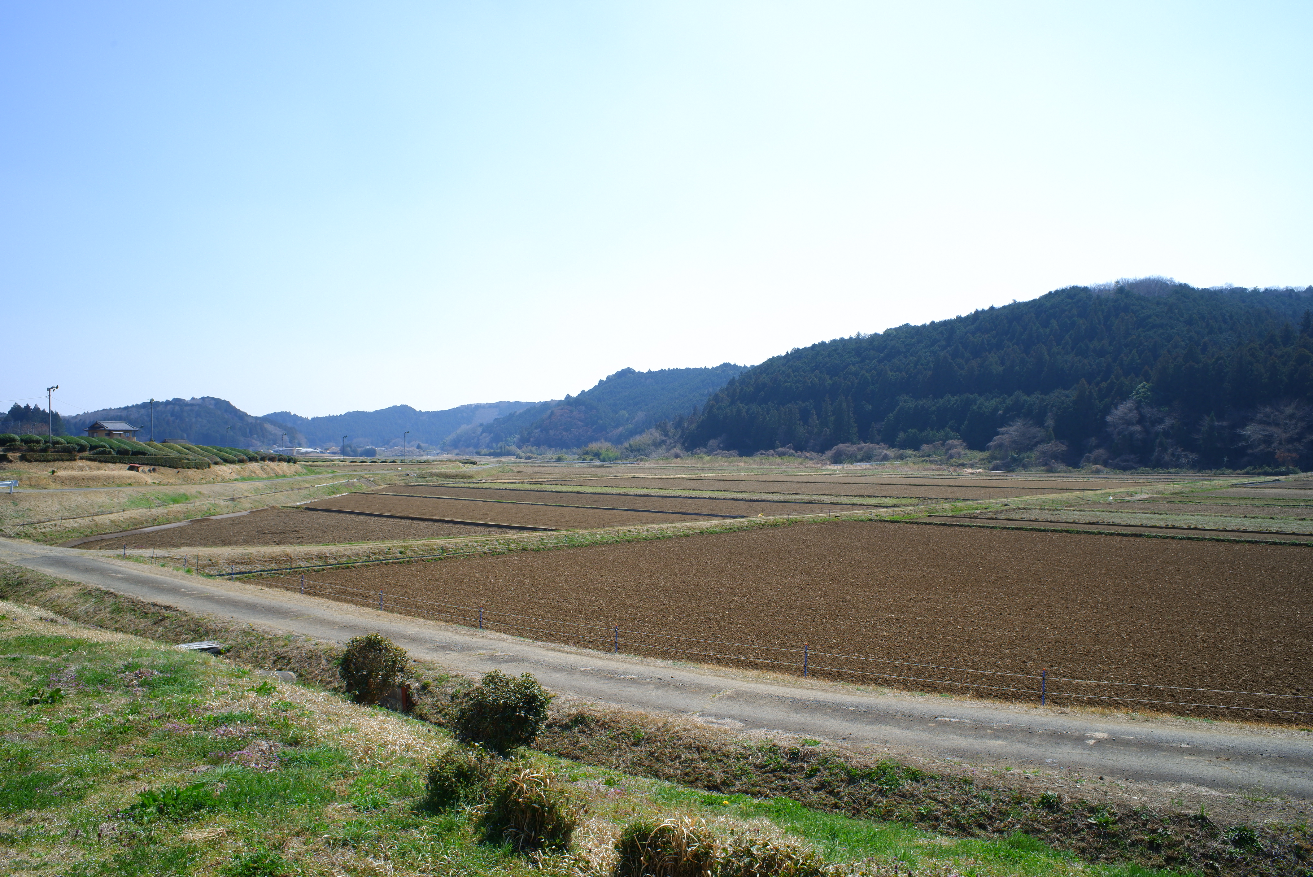 古內 (19)和奧久慈比起來開闊很多  山也比較沒那麼陡峭 深蒸為主 也會覆蓋.JPG