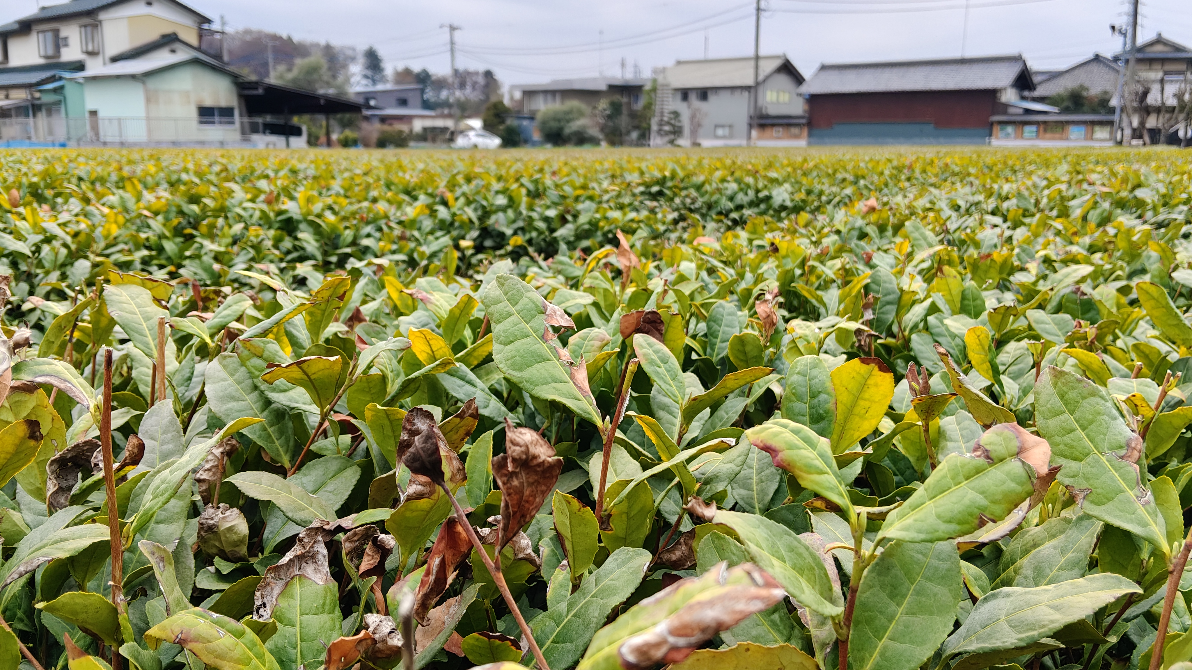 06還沒剪的 (1).jpg