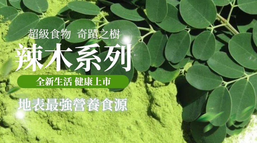 BN.jpg 奇蹟之樹辣木