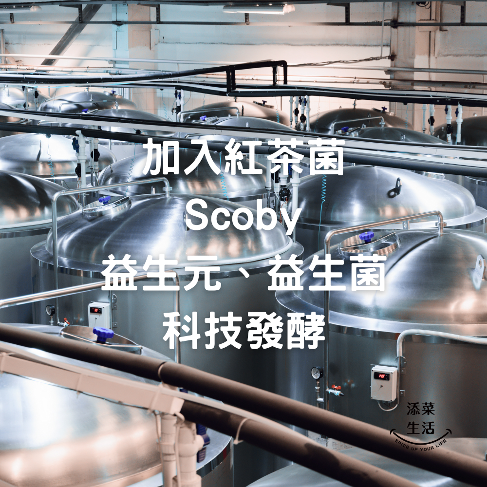 3.png 紅茶菌Scoby發酵