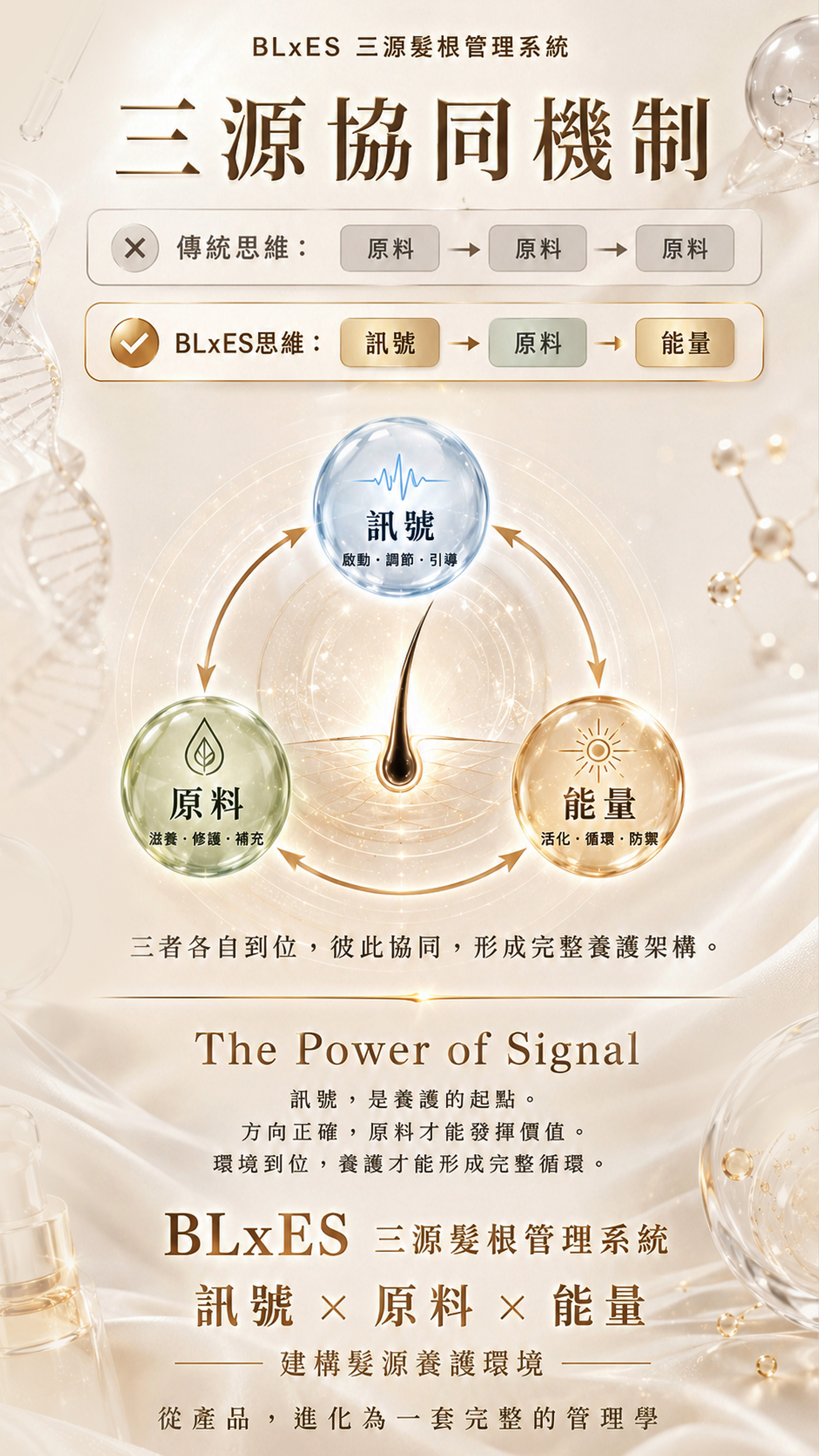 BLxES 三源髮根管理系統