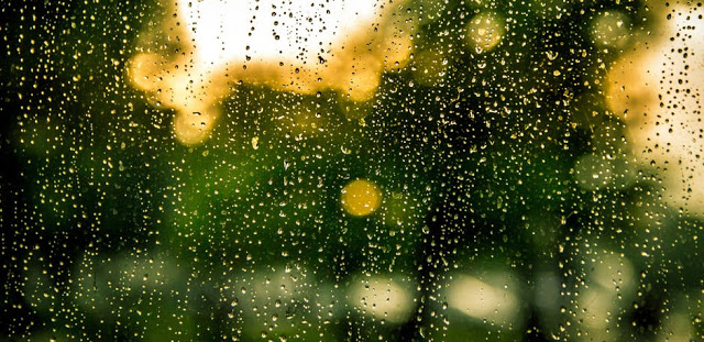 氣味   雨的變奏