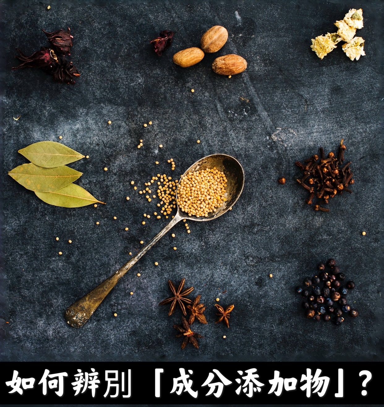 2025最新｜保健食品成分辨別攻略：含量、添加物一次看懂