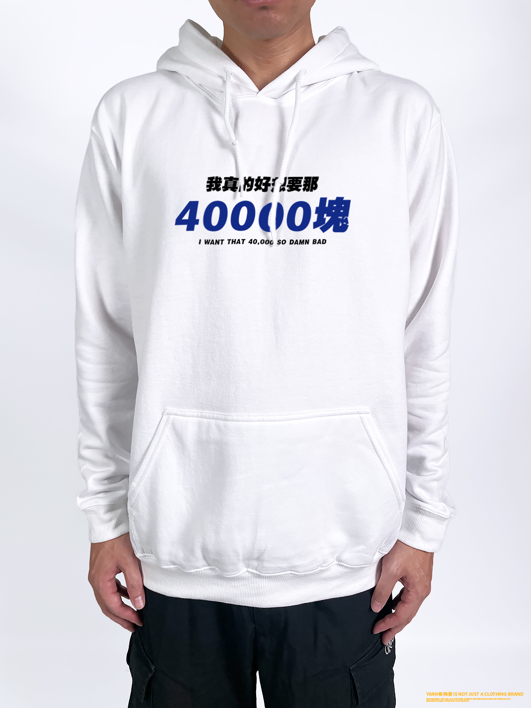 (連帽上衣)我真的好想要那40000塊 yarn有夠寶2