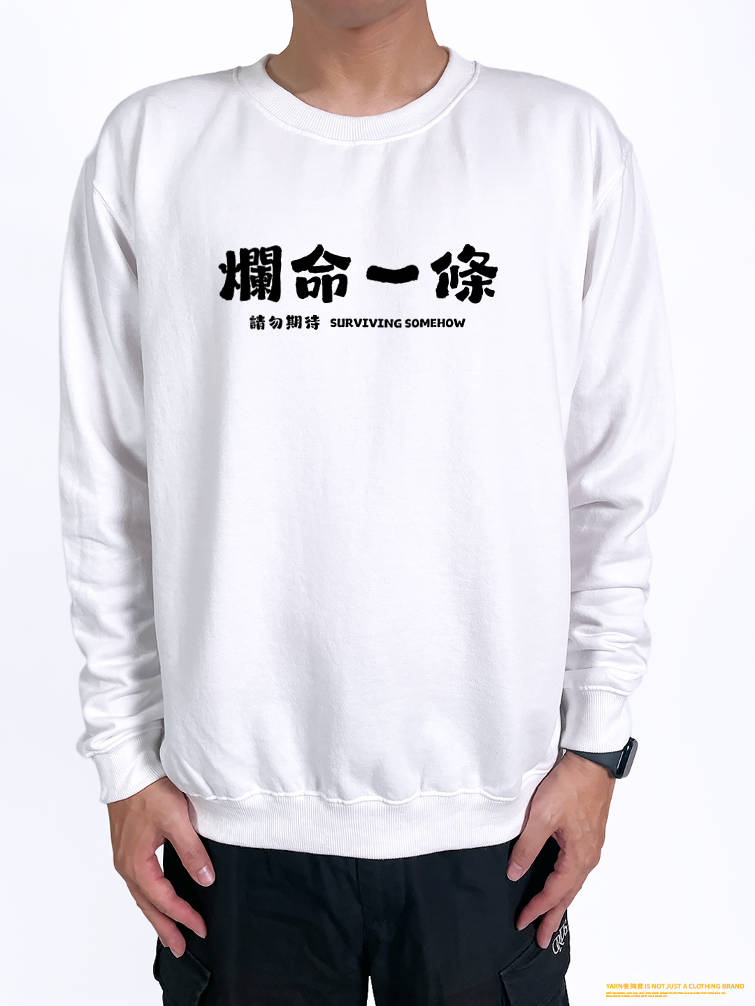 (大學T)爛命一條 yarn有夠寶2