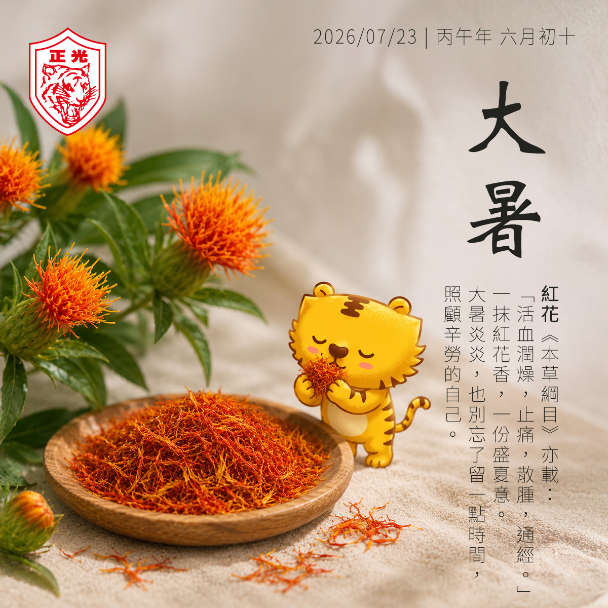 大暑節氣與紅花主題插圖，展示新鮮紅花、乾燥紅花及金絲虎聞紅花的可愛形象，介紹大暑、三伏天與紅花草本文化，傳達盛夏保養與節氣養生概念。