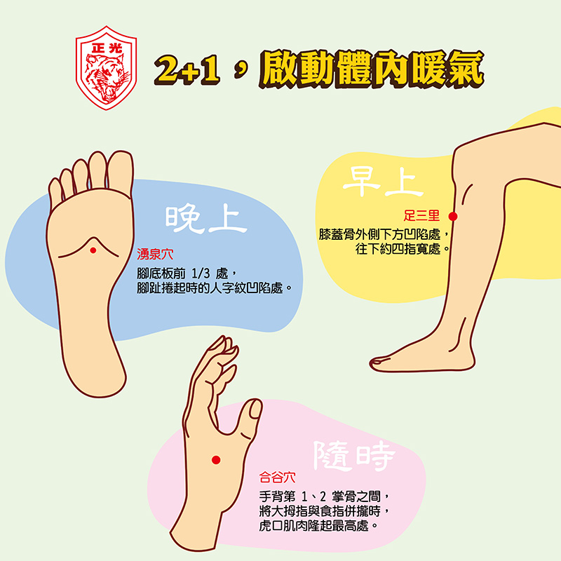 正光製藥小寒養生穴位圖卡。標題「2+1，啟動體內暖氣」。圖解三個暖身穴道：早上按膝下四指處的「足三里」啟動能量；晚上按腳底前段凹陷處的「湧泉穴」引火歸元；隨時按虎口處的「合谷穴」疏通氣血。幫助改善冬季手腳冰冷。