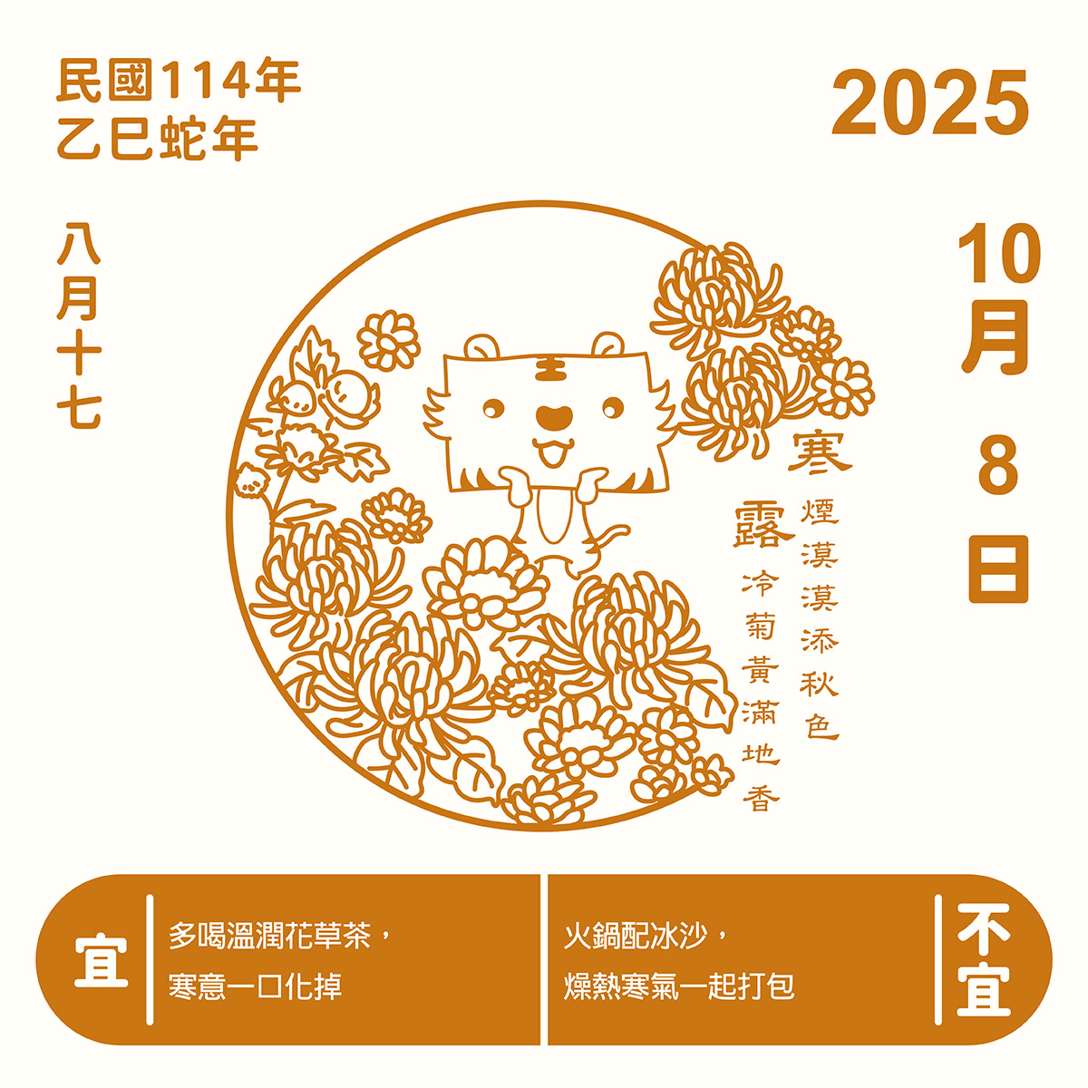插畫風寒露節氣圖:正光金絲虎站在盛開的菊花叢中,象徵秋意濃與菊花季到來。右側標示「2025年10月8日寒露」,下方寫著「宜:多喝溫潤花草茶,寒意一口化掉;不宜:火鍋配冰沙,燙熱寒氣一起打包」,整體以橘色線條呈現溫暖氛圍。