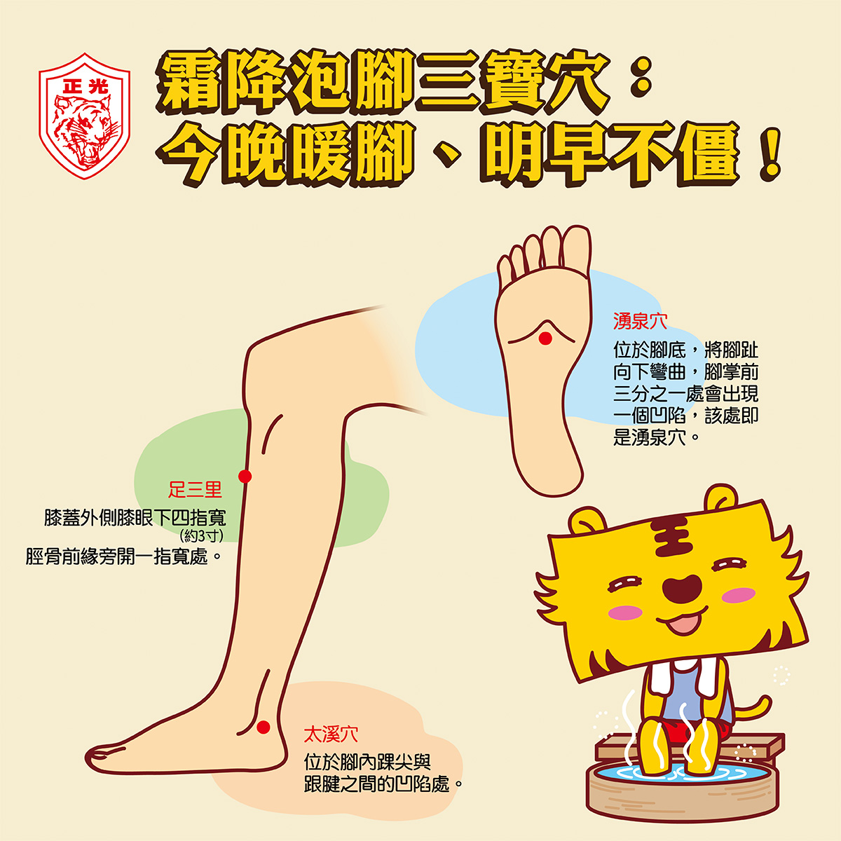 霜降時節泡腳可按摩的三個穴位,包括足三里、太溪穴與湧泉穴,搭配金絲虎卡通角色泡腳插畫。圖中標示每個穴位的位置與簡要說明,標題為「霜降泡腳三寶穴:今晚暖腳、明早不僵!」左上角有正光品牌標誌。