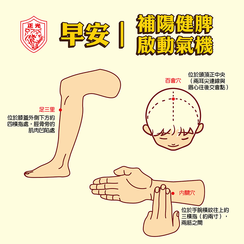 早安補陽健脾穴位導引圖,標示三個穴位:足三里、百會穴、內關穴,分別位於膝蓋下方、頭頂中央與手腕內側。正光品牌提供,主打夏至早晨養生、補陽健脾、啟動氣機的保健方式。