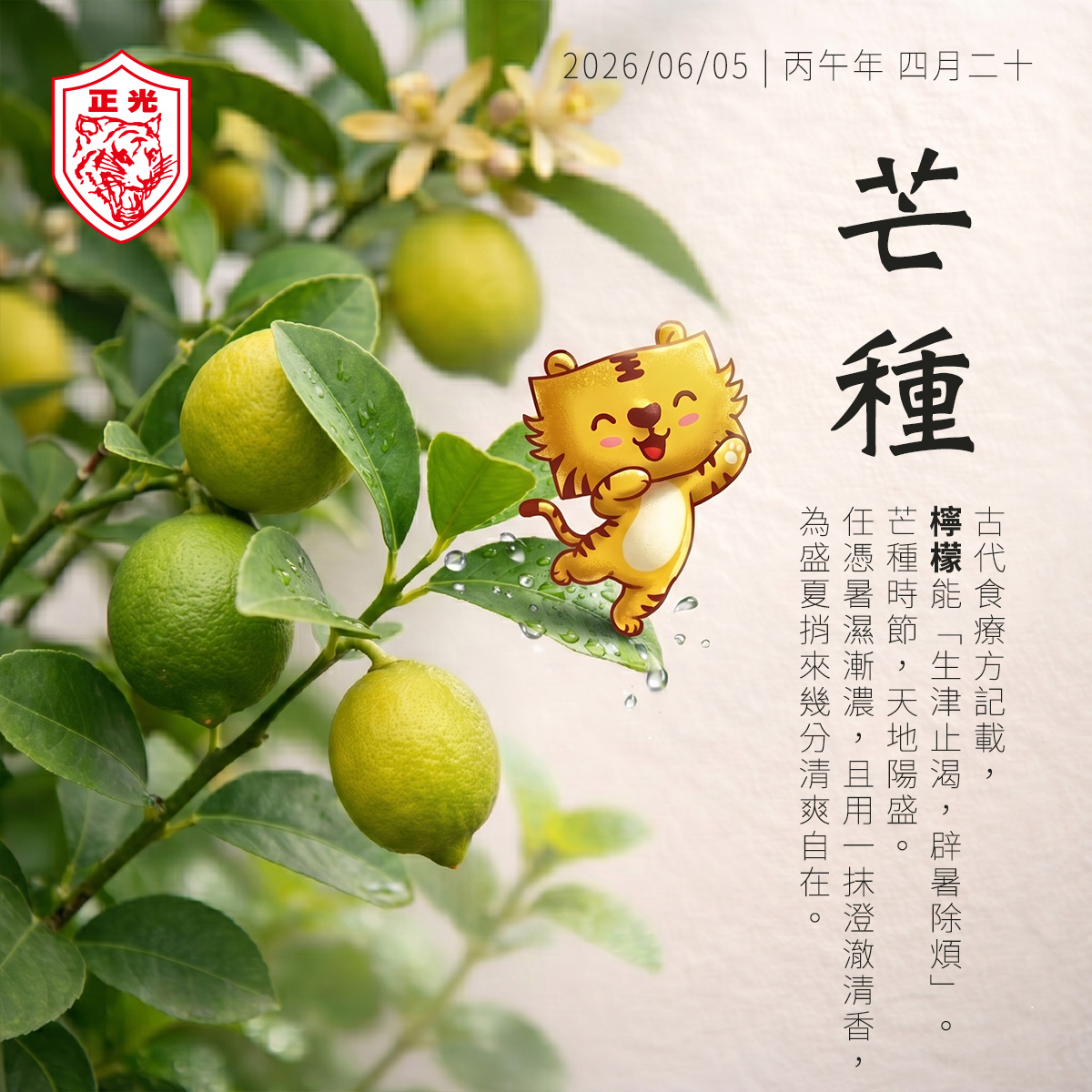正光製藥 2026 年芒種節氣主題圖。畫面左側是一串掛滿露珠的成熟黃色檸檬，枝葉翠綠茂盛，一隻可愛的金絲虎卡通角色趴在大顆檸檬上露出開心笑容。右側以書法字體呈現「芒種」，並搭配節氣短文：「古代食療方記載，黎檬（檸檬）能生津止渴、辟暑除煩。芒種時節，天地陽盛。任憑暑濕漸濃，且用一抹澄澈清香，為盛夏捎來幾分清爽自在。」整體以檸檬果香與仲夏清新意象傳達芒種養生主題。