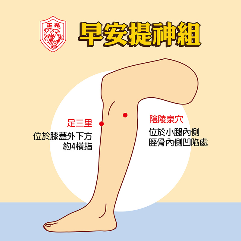 正光早安提神組穴位圖示,標示足三里與陰陵泉穴位位置,說明足三里位於膝蓋外下方約四橫指,陰陵泉位於小腿內側脛骨內凹陷處