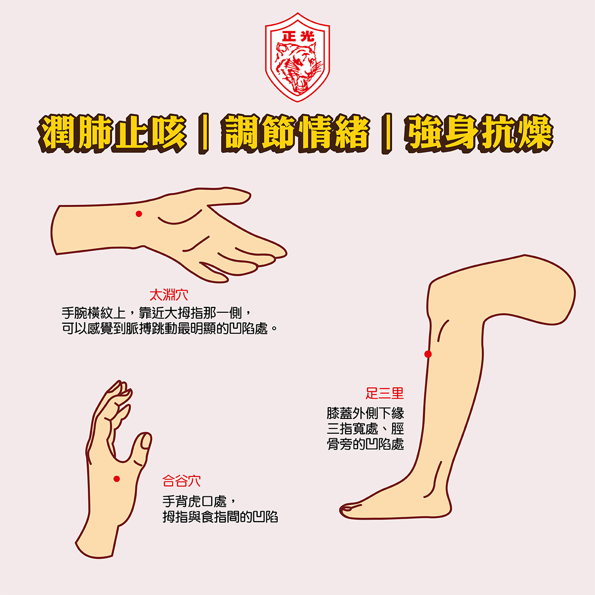 秋分穴位養生位置圖，太淵、合谷跟足三里
