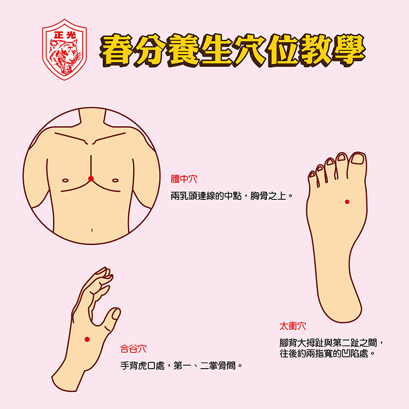 這是一張「正光製藥」出品的「春分養生穴位教學」圖解海報。海報背景為粉紅色，上方有「正光製藥」的紅色虎頭 LOGO 以及黃底黑邊的藝術字標題「春分養生穴位教學」。  海報內含三個穴位的示意圖與文字說明：  膻中穴：左上方圓圈內顯示人體胸部示意圖，紅點標註於兩乳頭連線中點，旁附文字說明：「兩乳頭連線的中點，胸骨之上。」  太衝穴：右側為一隻腳背的示意圖，紅點標註於大拇趾與第二趾縫往後的凹陷處，旁附文字說明：「腳背大拇趾與第二趾之間，往後約兩指寬的凹陷處。」  合谷穴：左下方為一隻手背的示意圖，紅點標註於虎口處，旁附文字說明：「手背虎口處，第一、二掌骨間。」  整張海報風格簡潔專業，旨在指導讀者在春分時節透過按摩特定穴位來達到養生與疏肝理氣的效果。