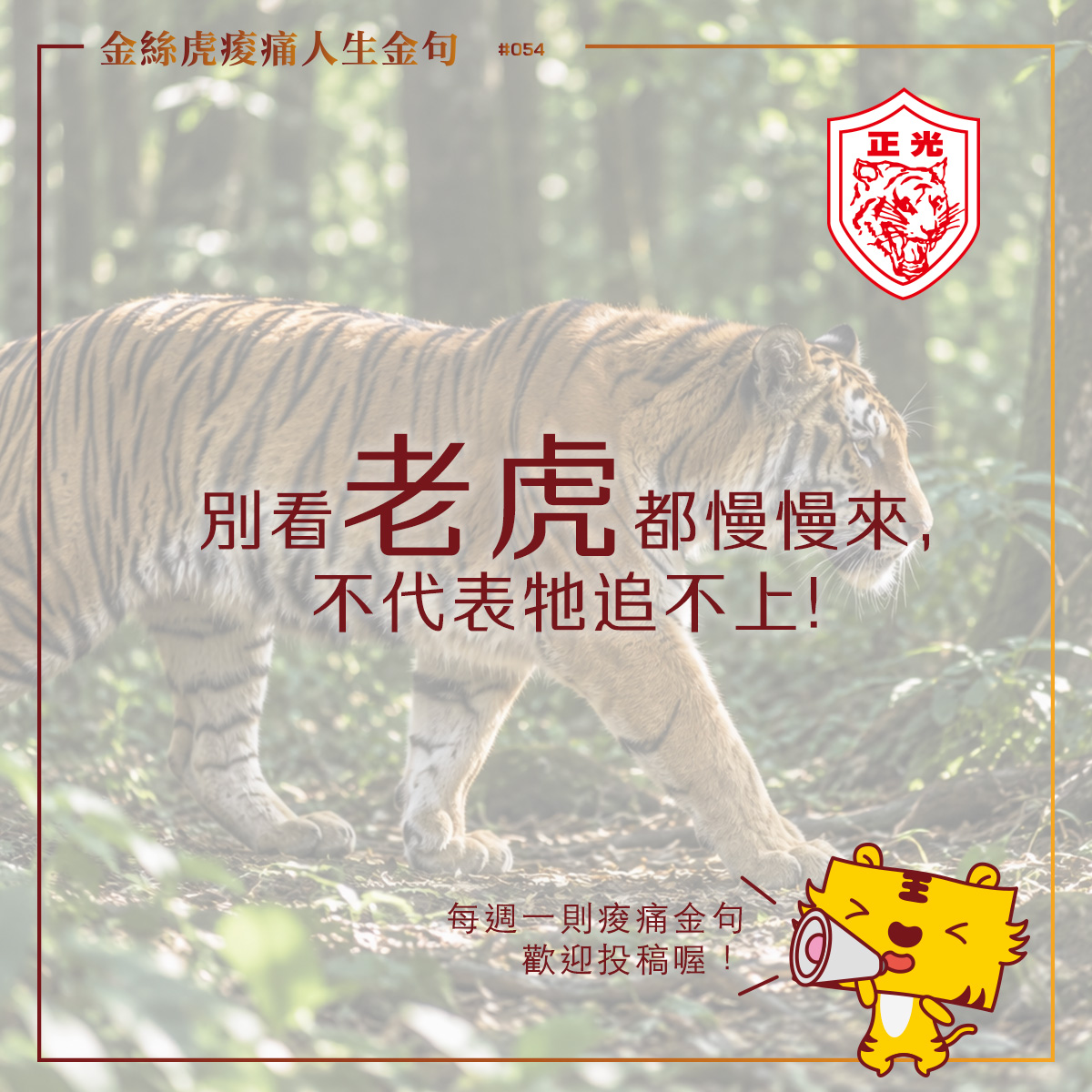 國際老虎日主題圖片,一隻老虎漫步森林,搭配金絲虎痠痛人生金句「別看老虎都慢慢來,不代表牠追不上!」,鼓勵放慢腳步、適時休息,找回自己的節奏。